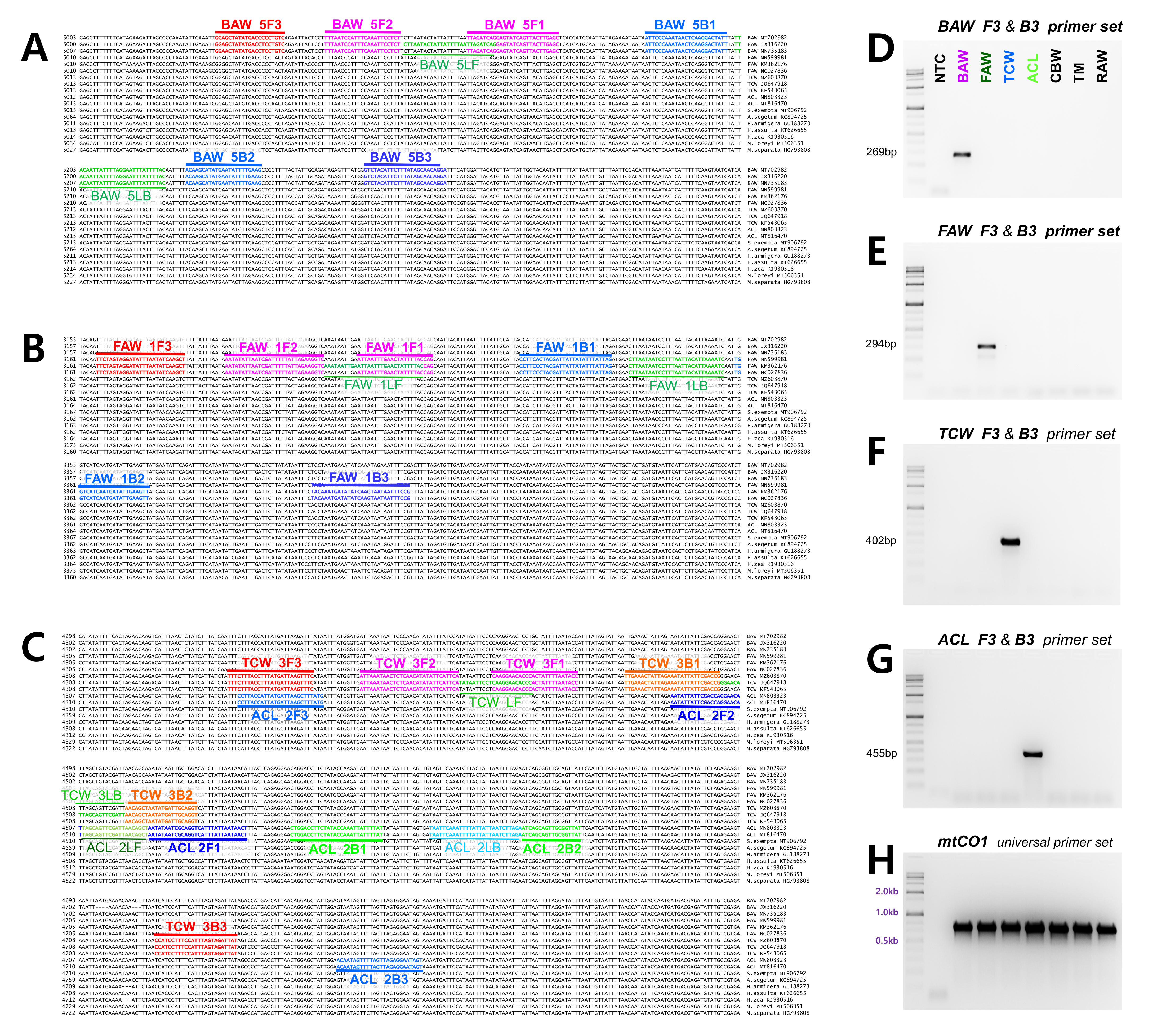 Insects 12 00883 g001