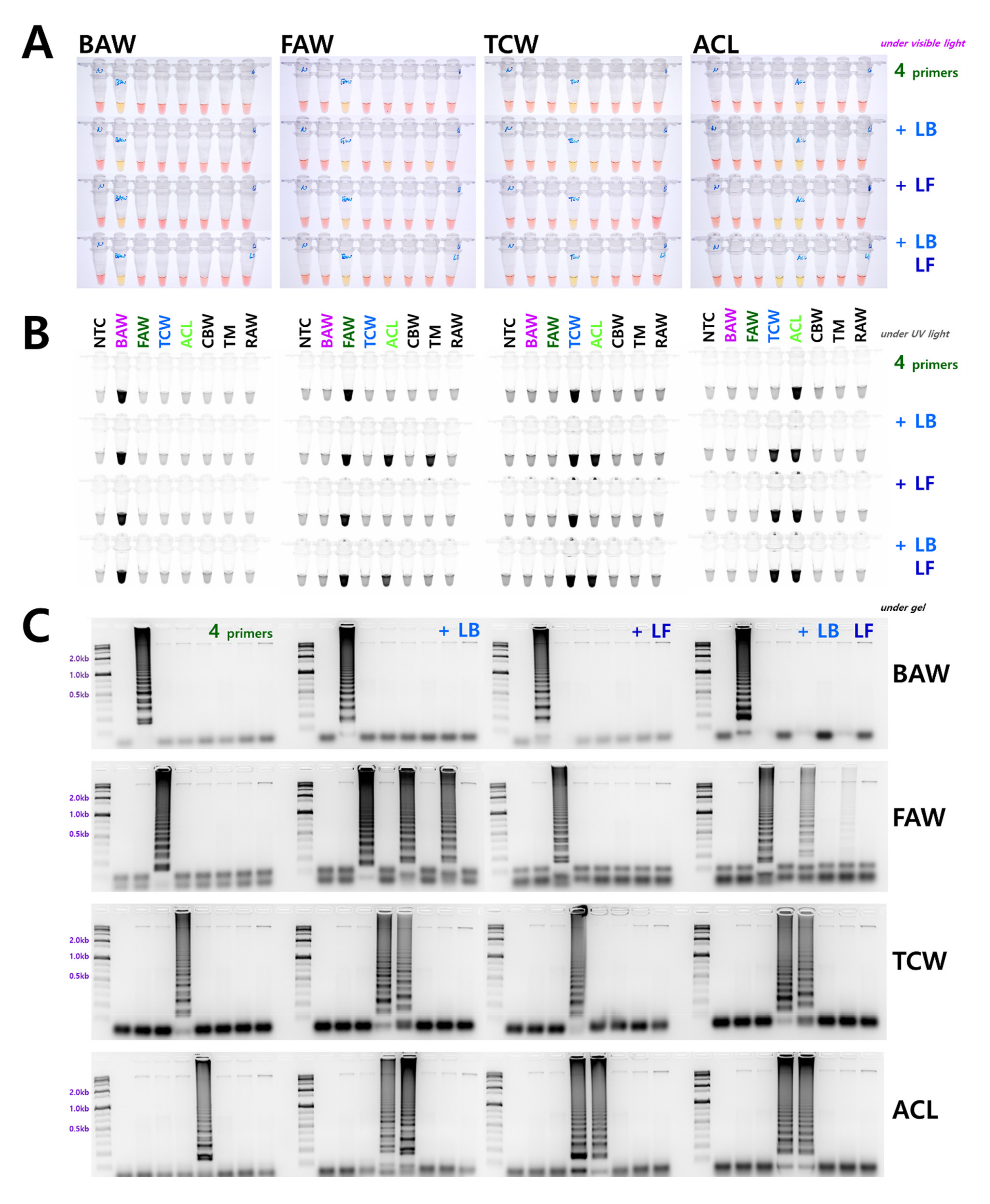 Insects 12 00883 g002