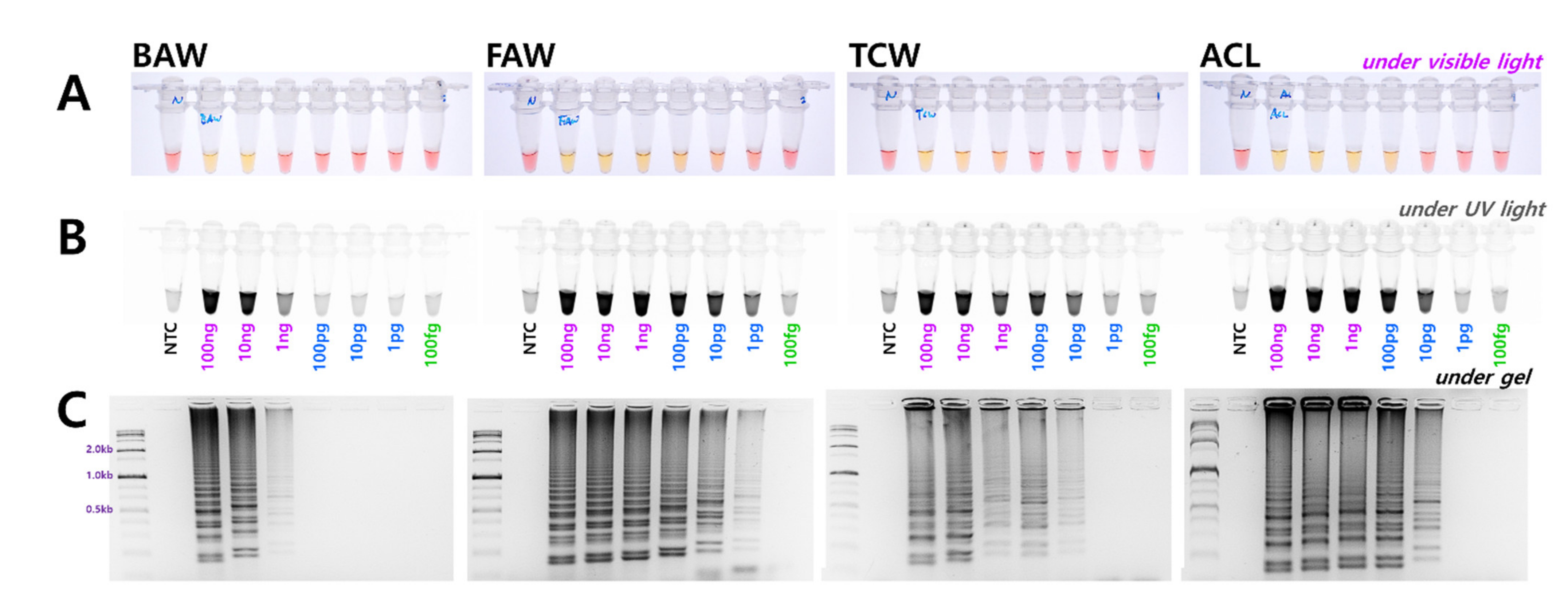 Insects 12 00883 g003