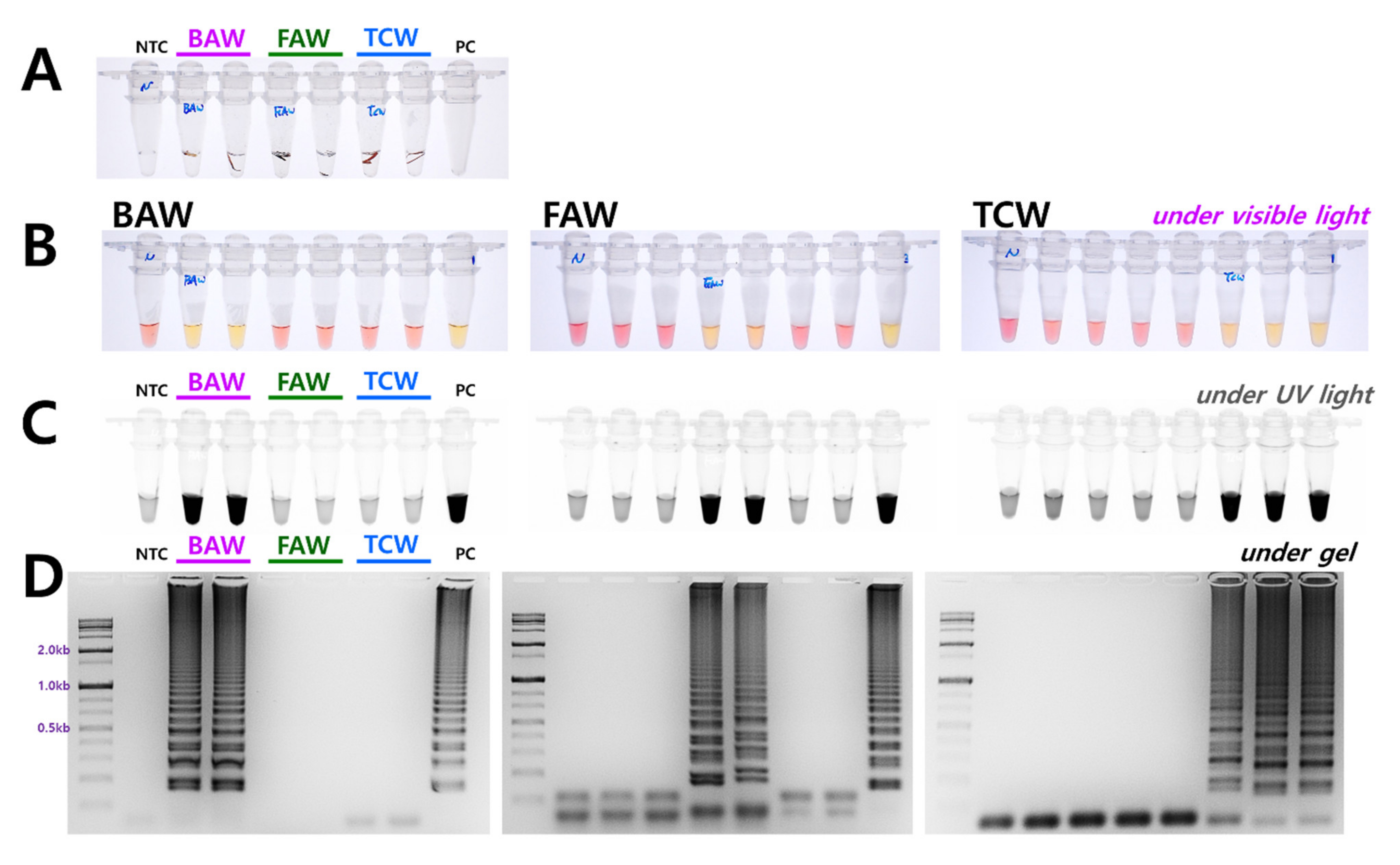 Insects 12 00883 g004
