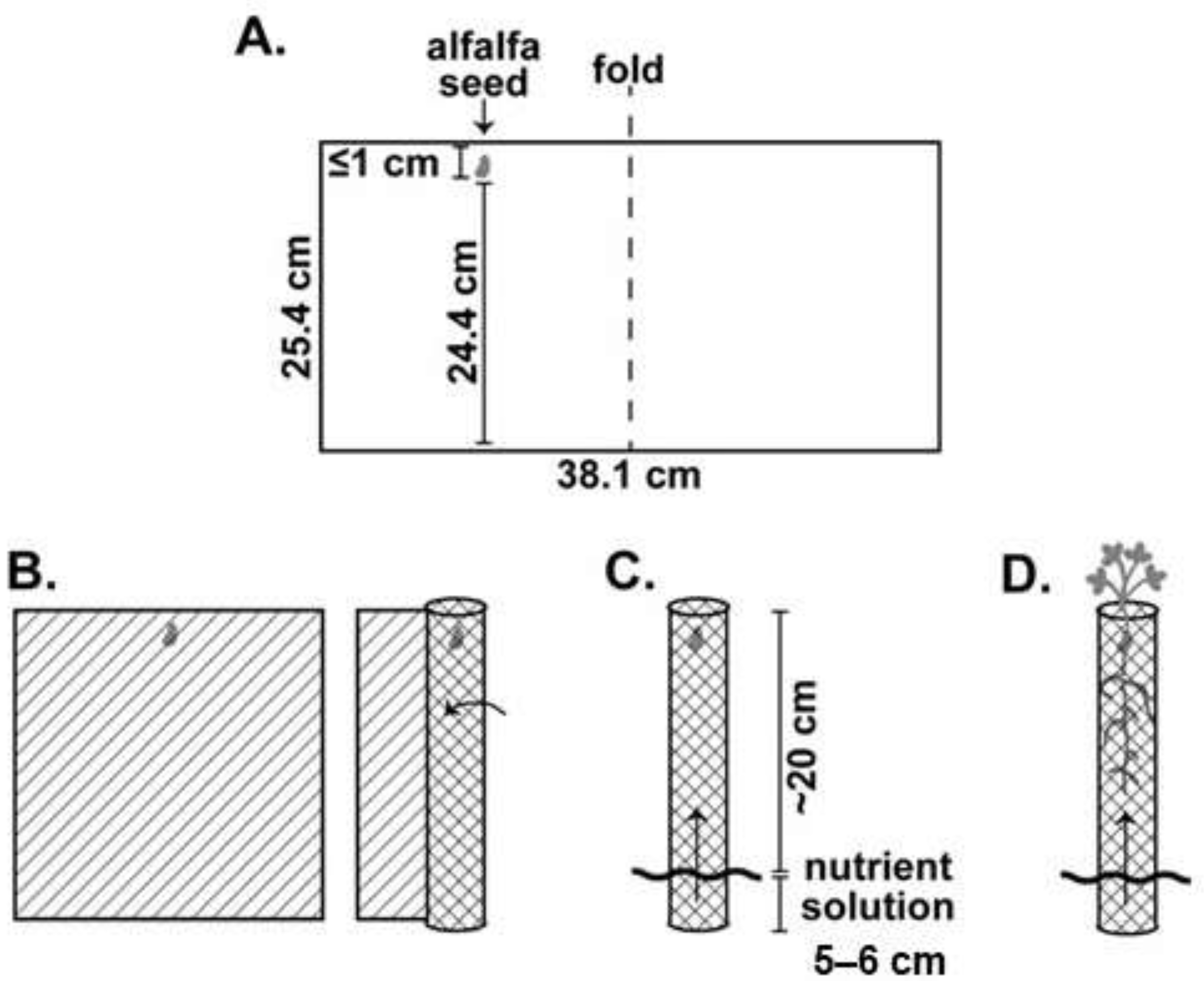 Insects 12 00906 g001