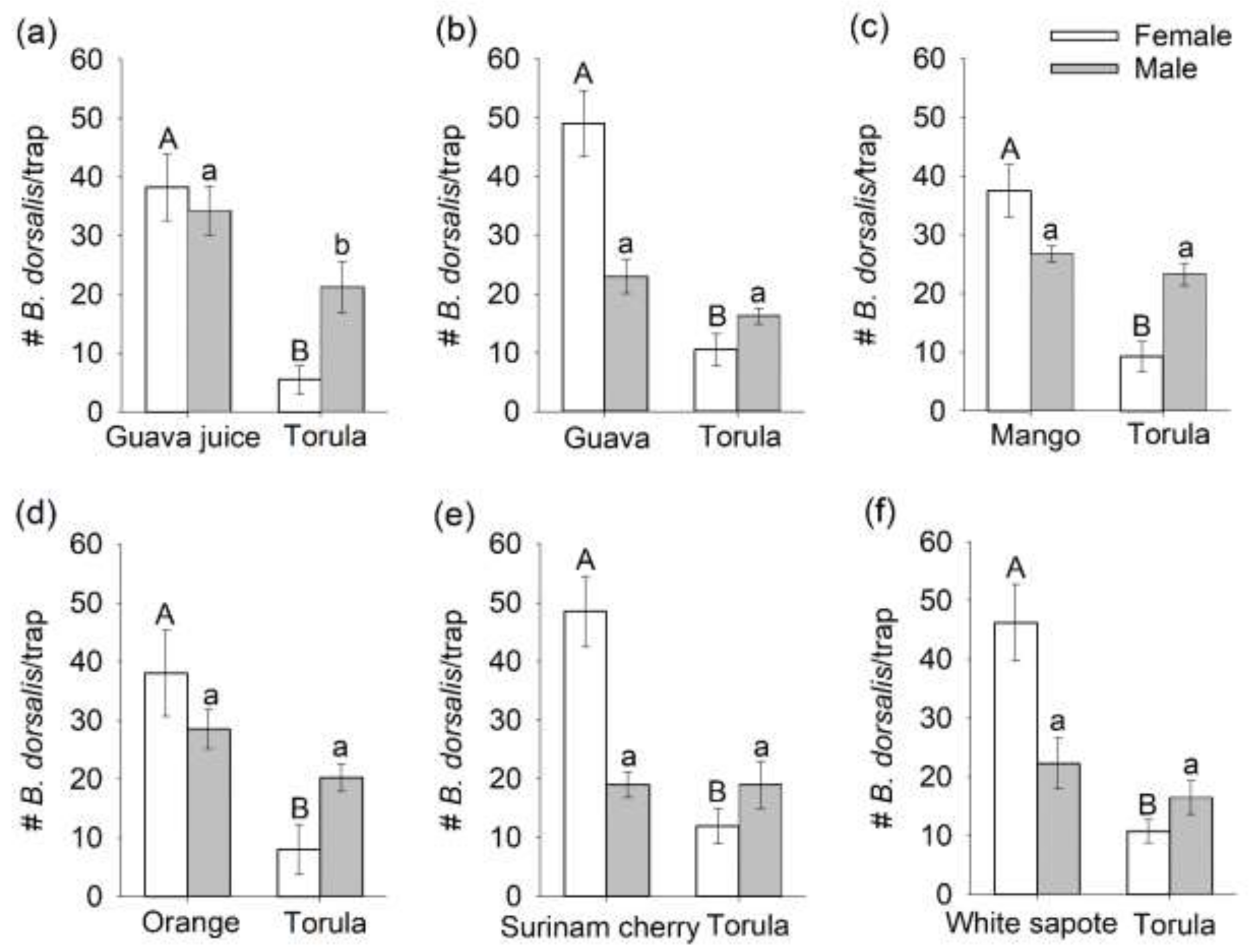 Insects 12 00909 g001