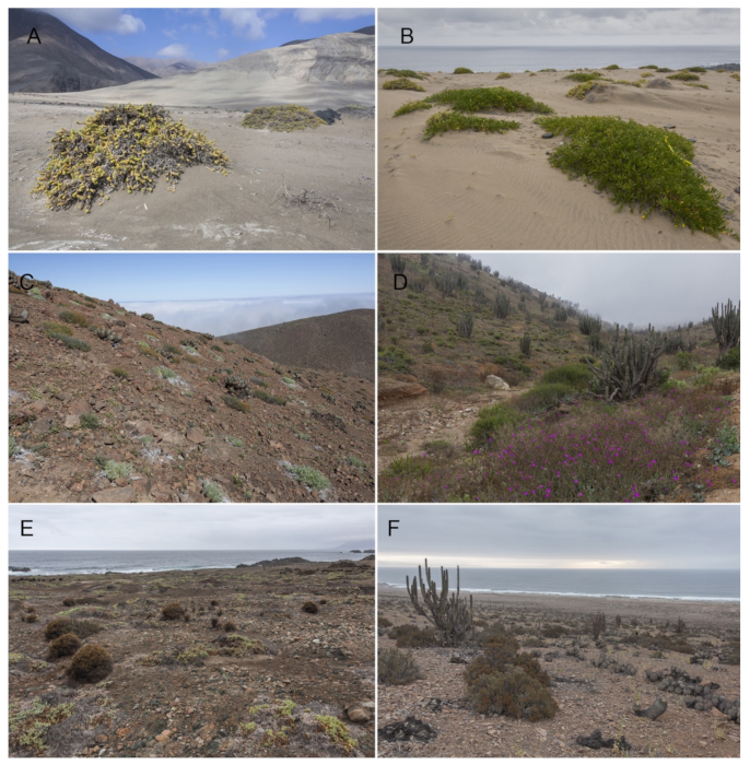 Insects 12 00916 g002