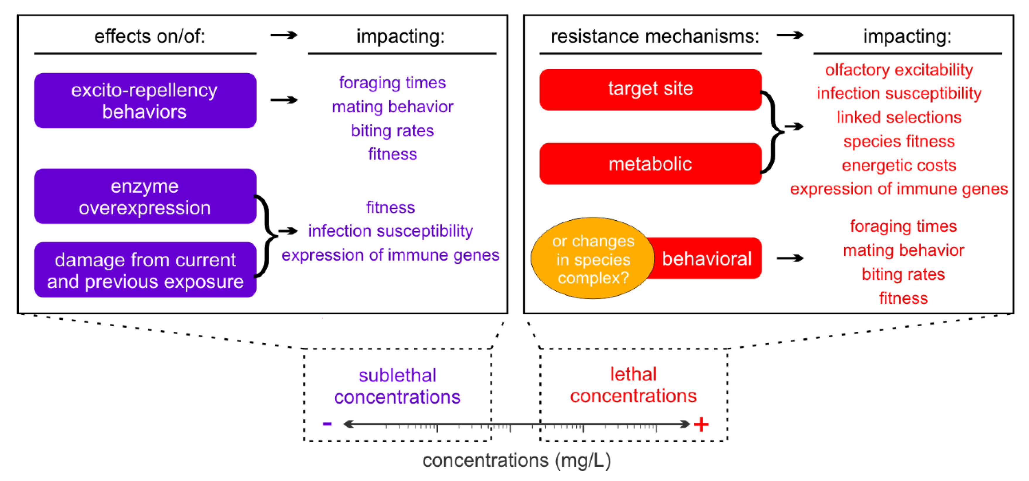 Insects 12 00917 g001 Insects 12 00917 g001