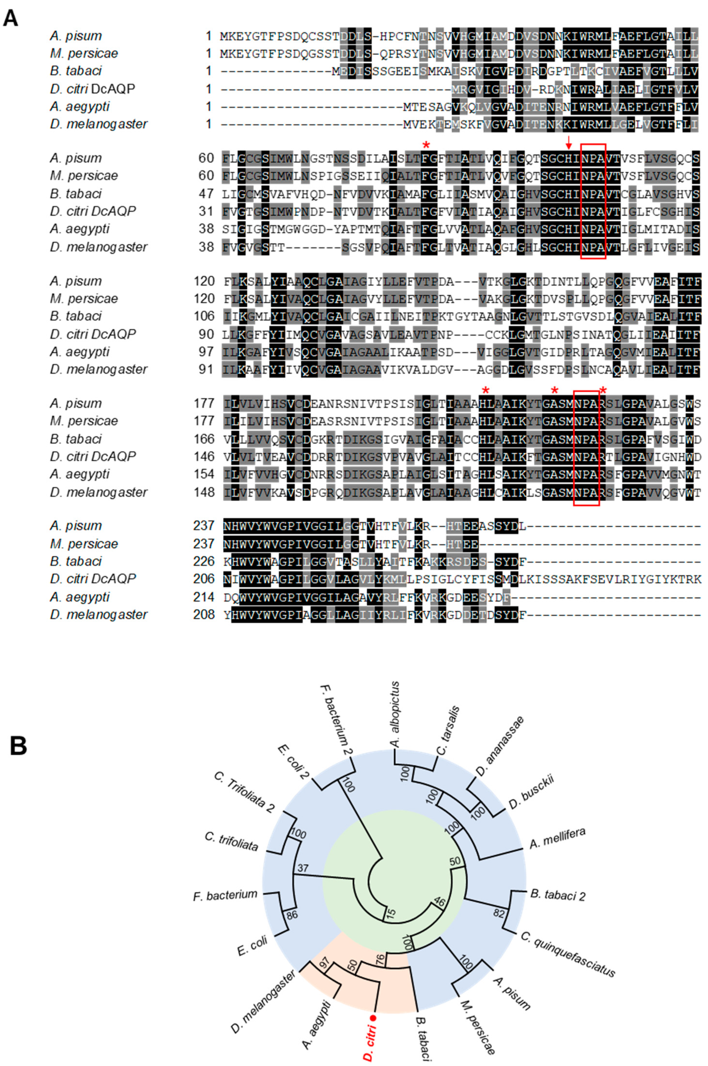 Insects 12 00931 g001 Insects 12 00931 g001