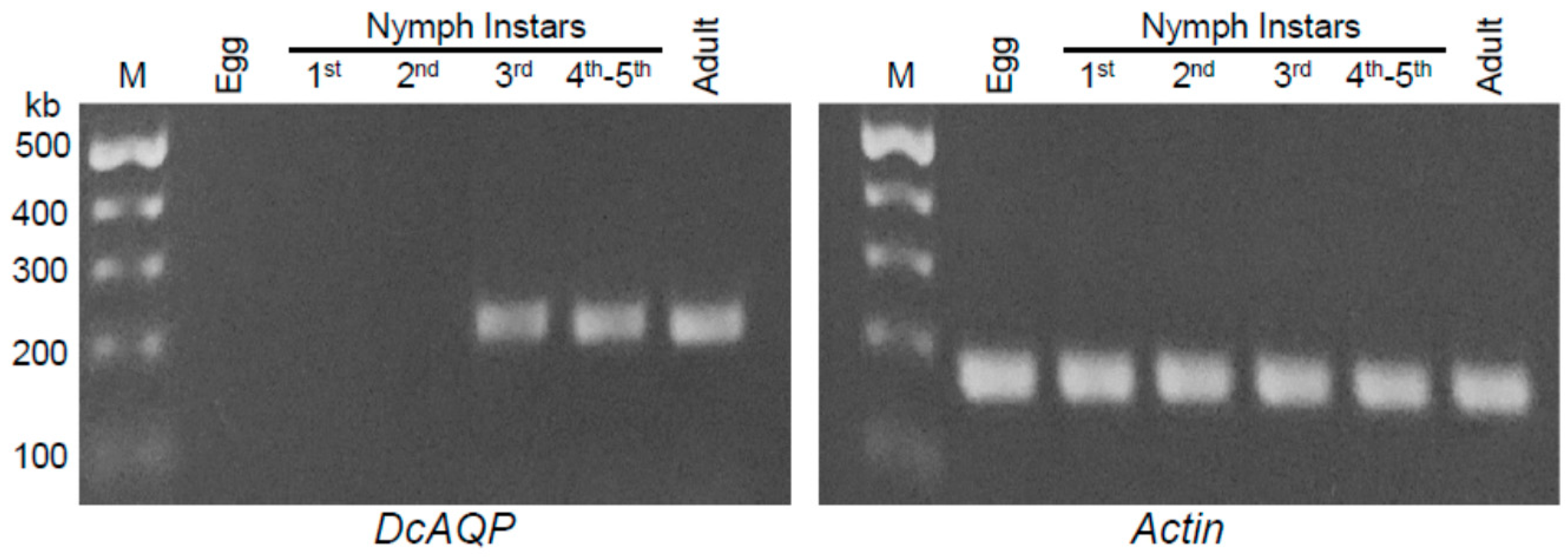Insects 12 00931 g003 Insects 12 00931 g003