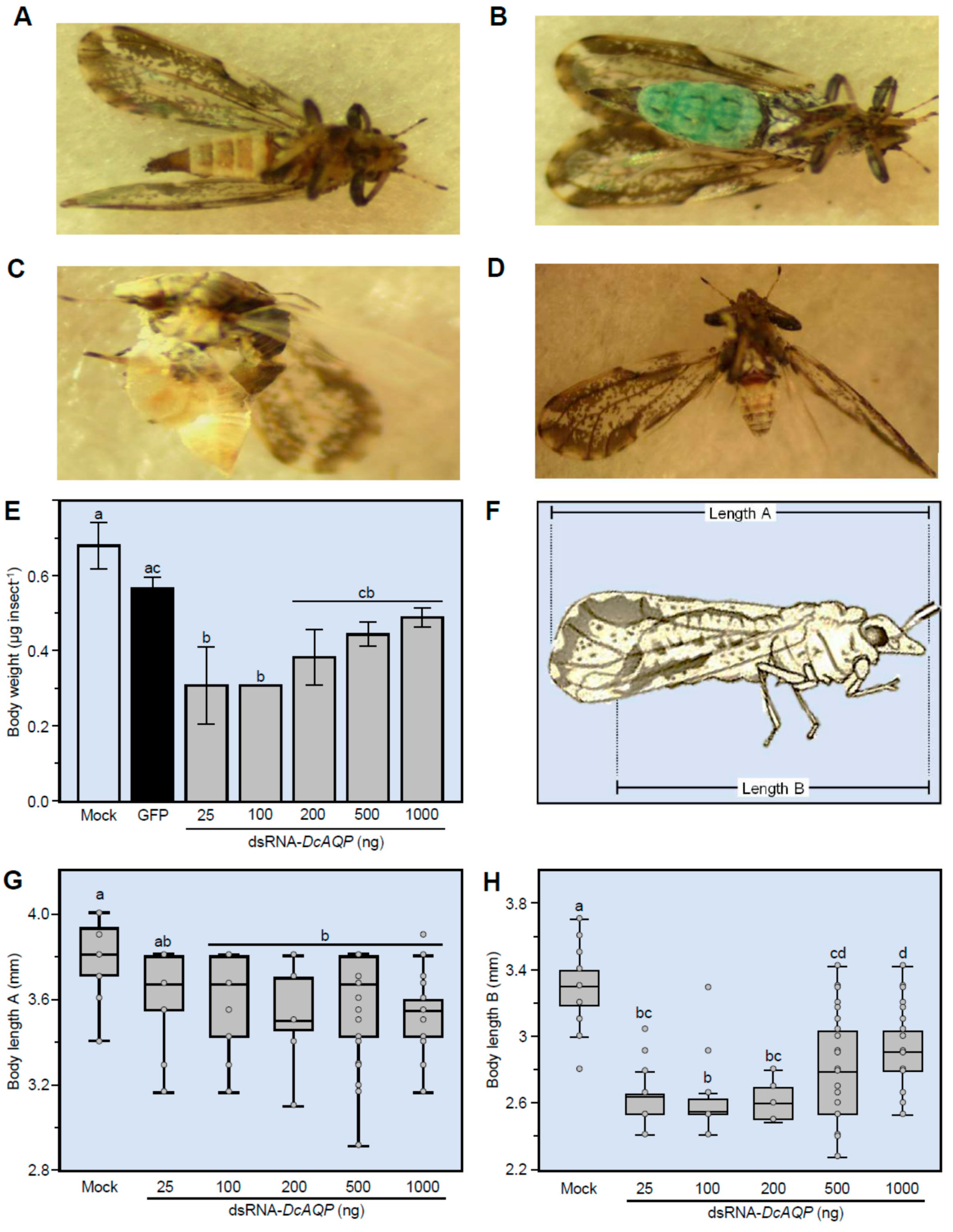 Insects 12 00931 g006 Insects 12 00931 g006