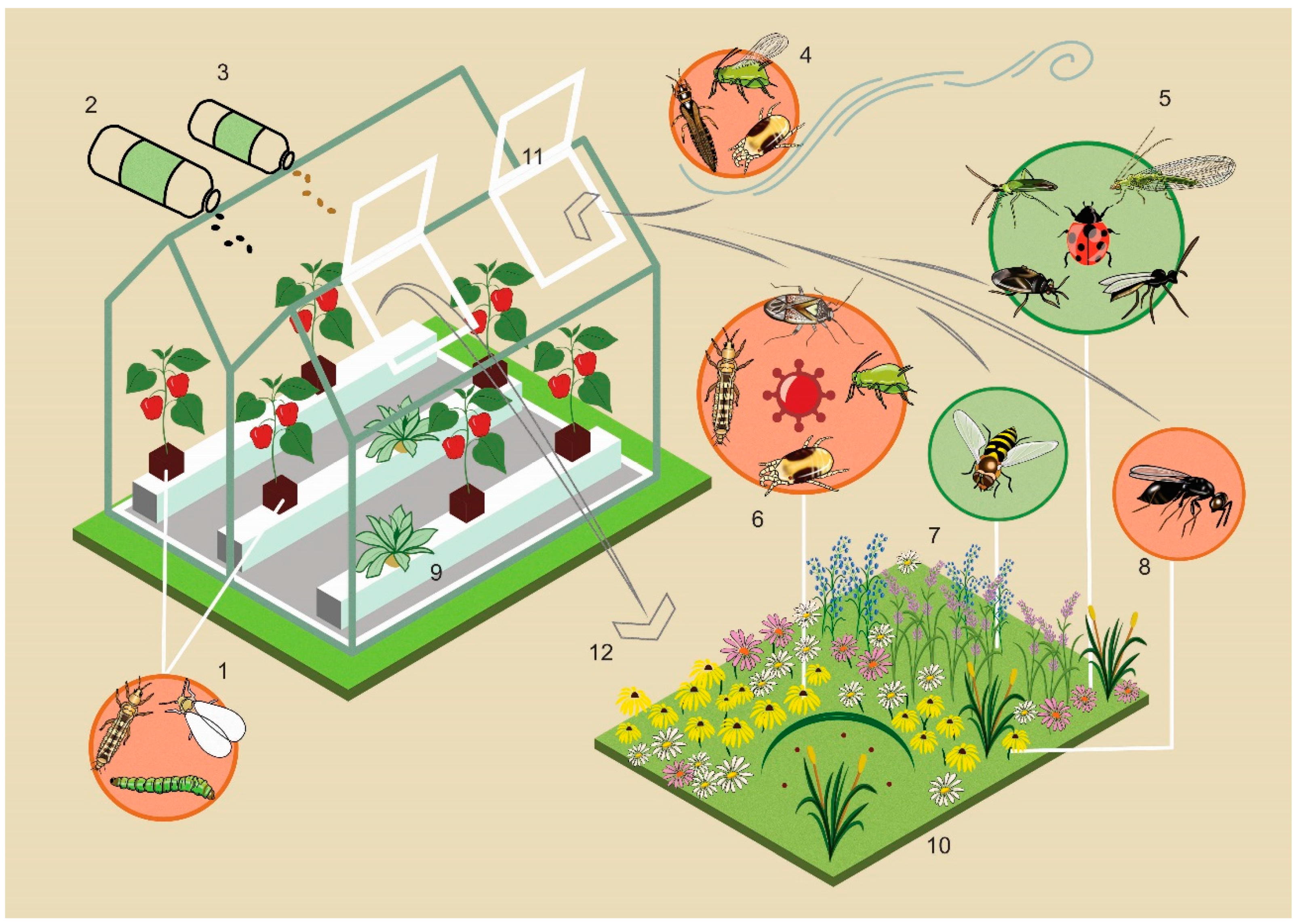 Insects 12 00933 g002 Insects 12 00933 g002
