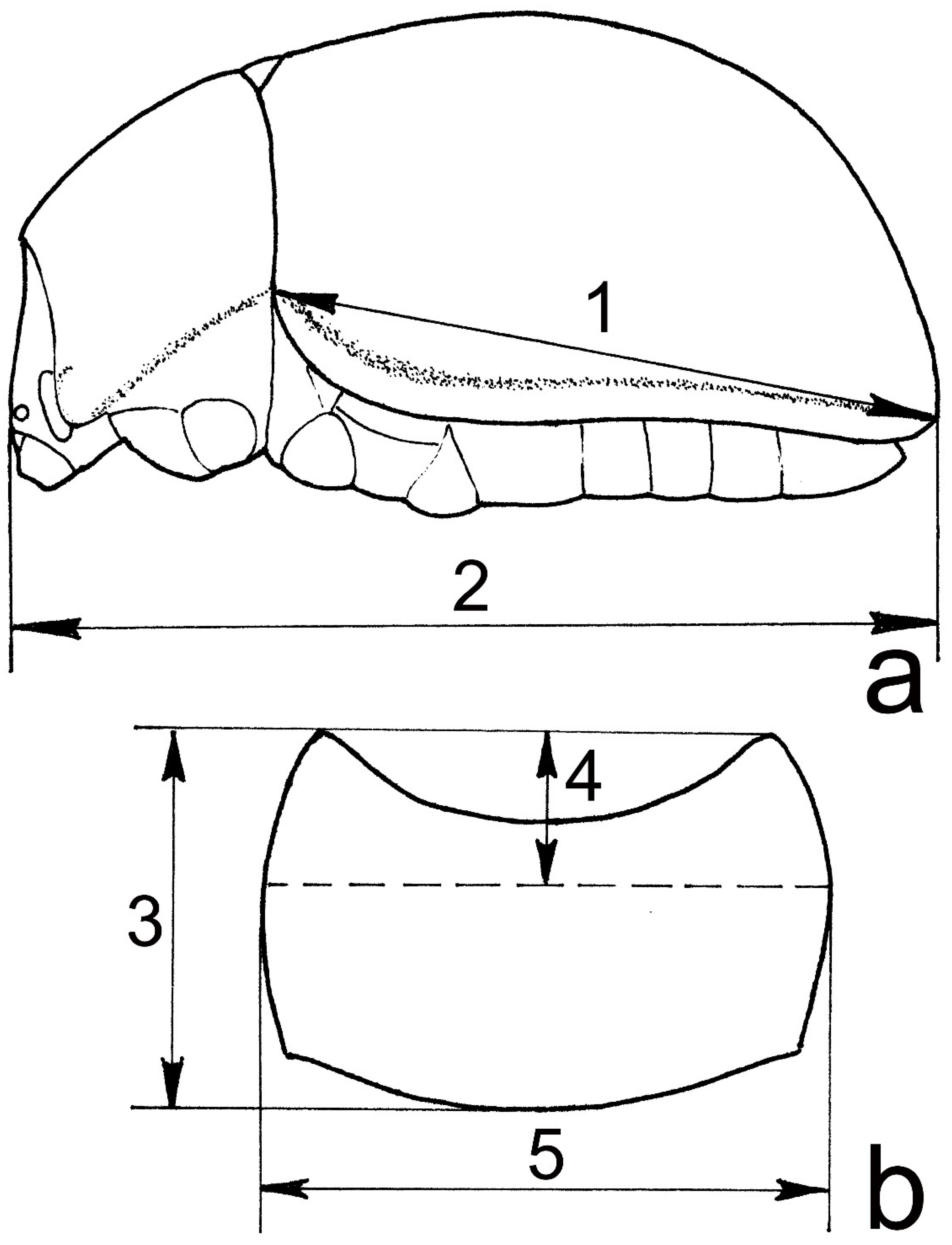 Insects 12 00937 g002 Insects 12 00937 g002