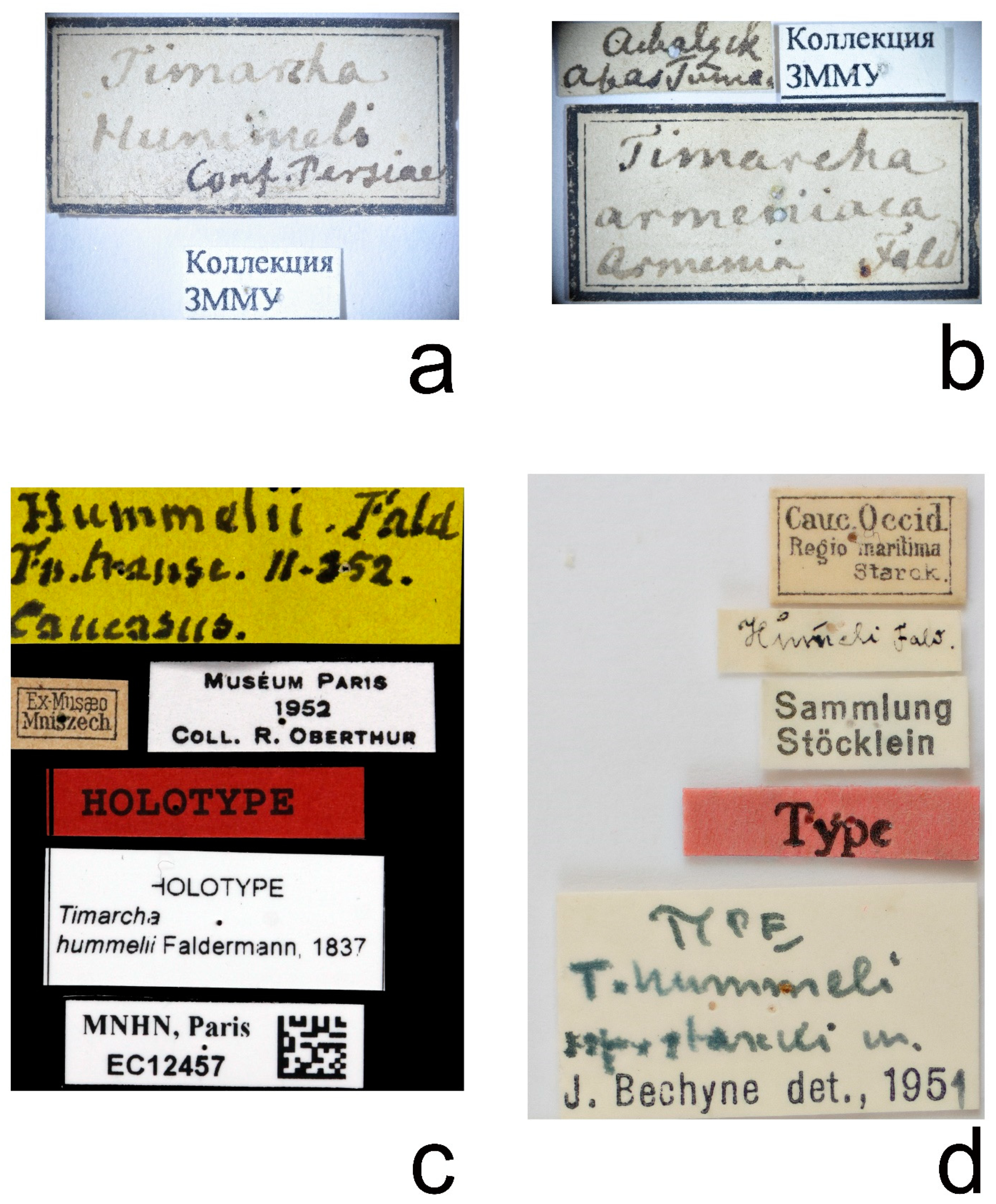 Insects 12 00937 g003 Insects 12 00937 g003