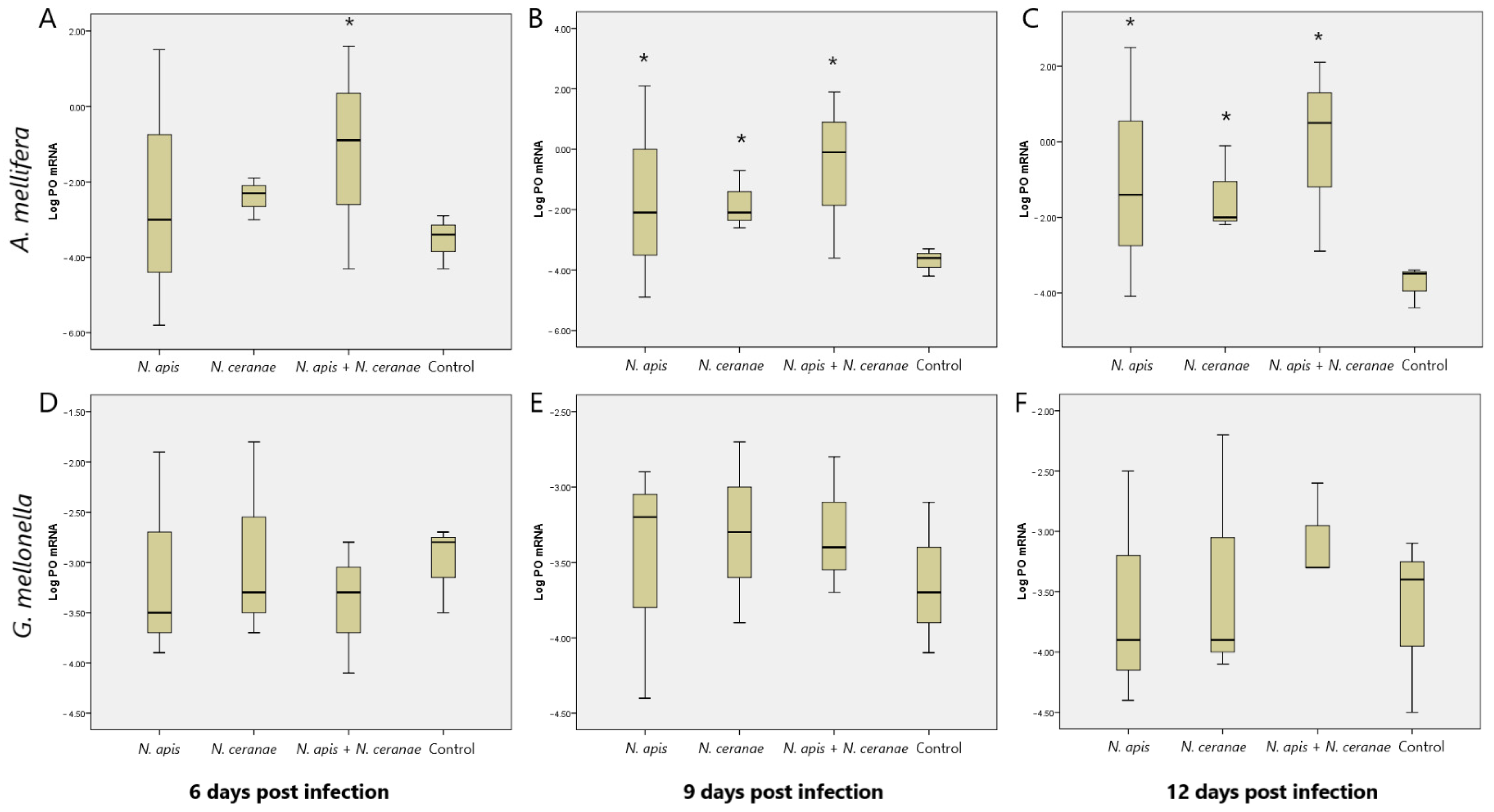 Insects 12 00953 g005