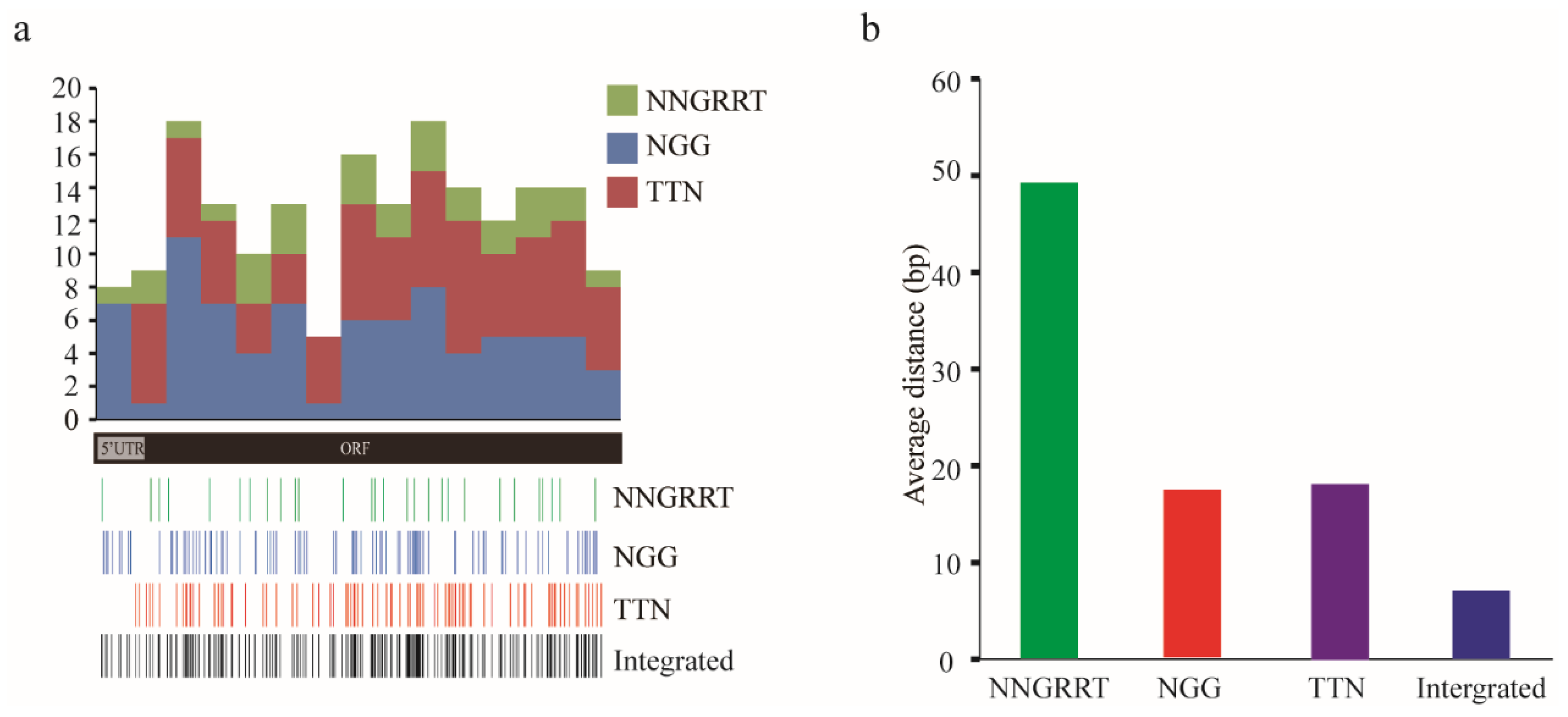 Insects 12 00954 g001