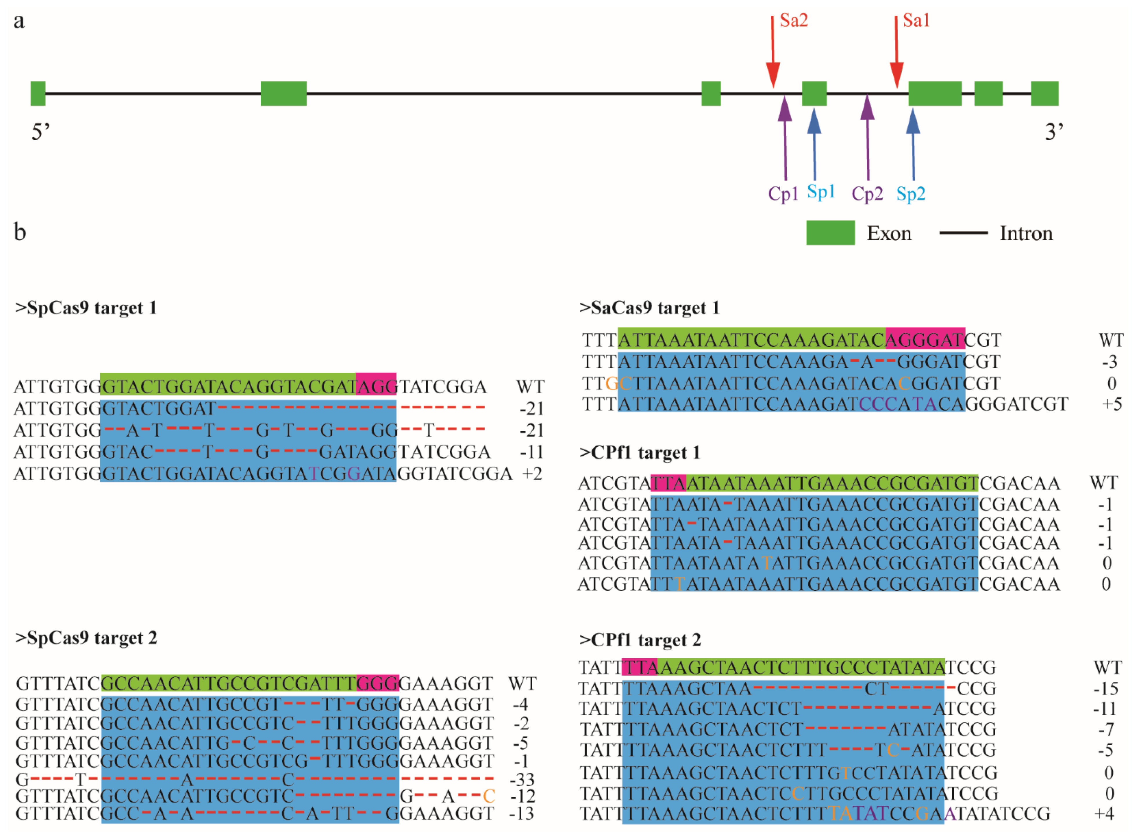 Insects 12 00954 g004