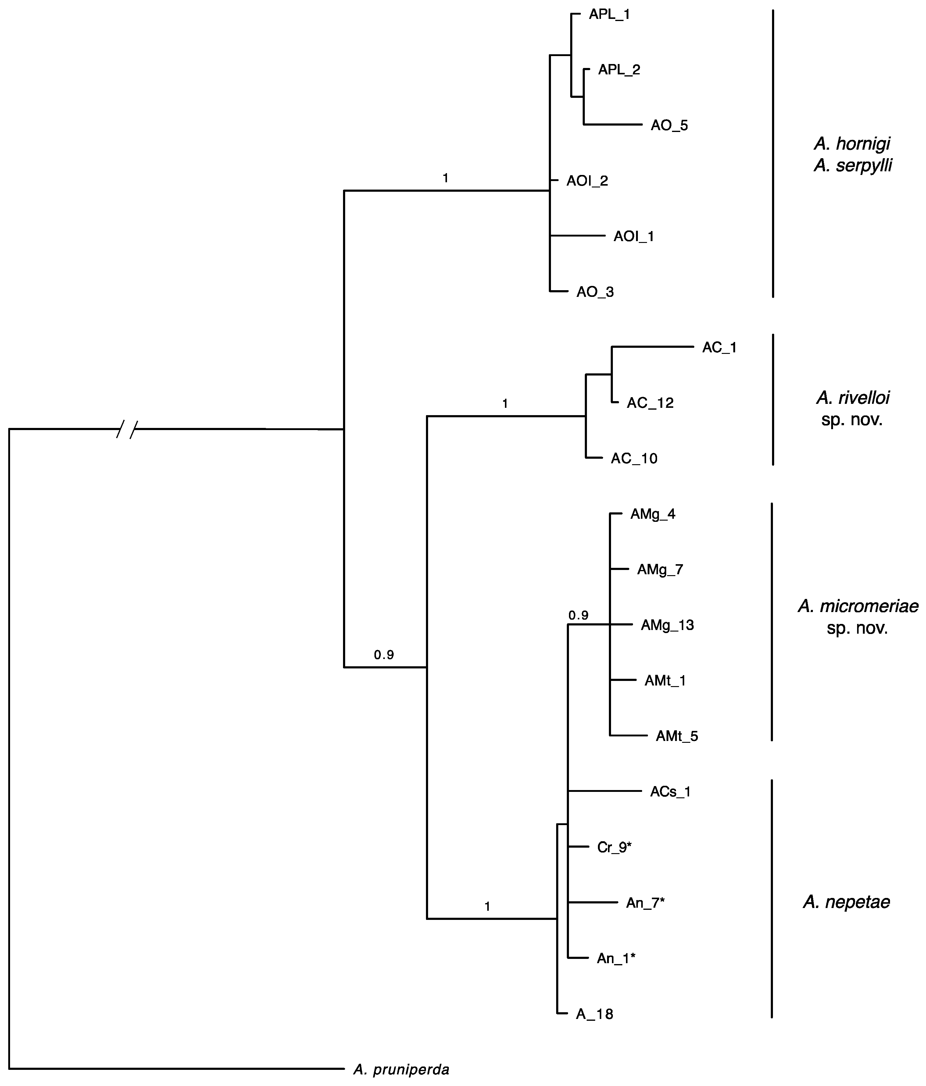 Insects 12 00958 g002