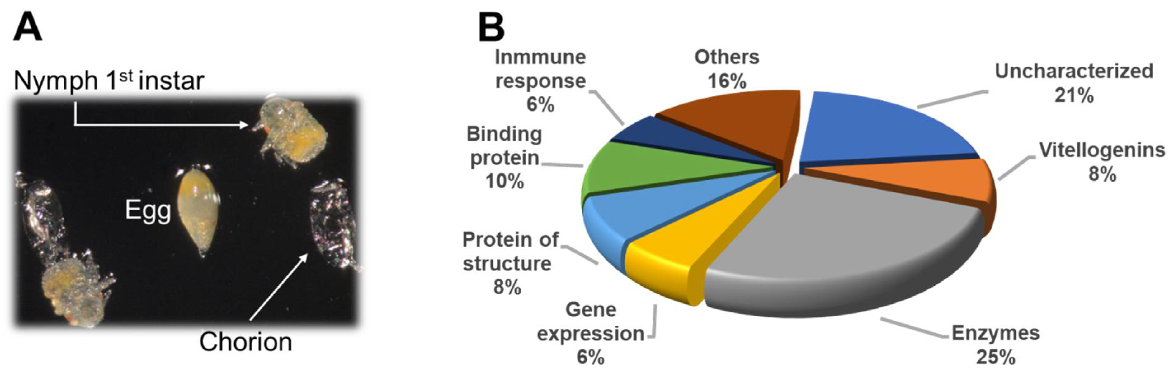 Insects 12 00959 g001