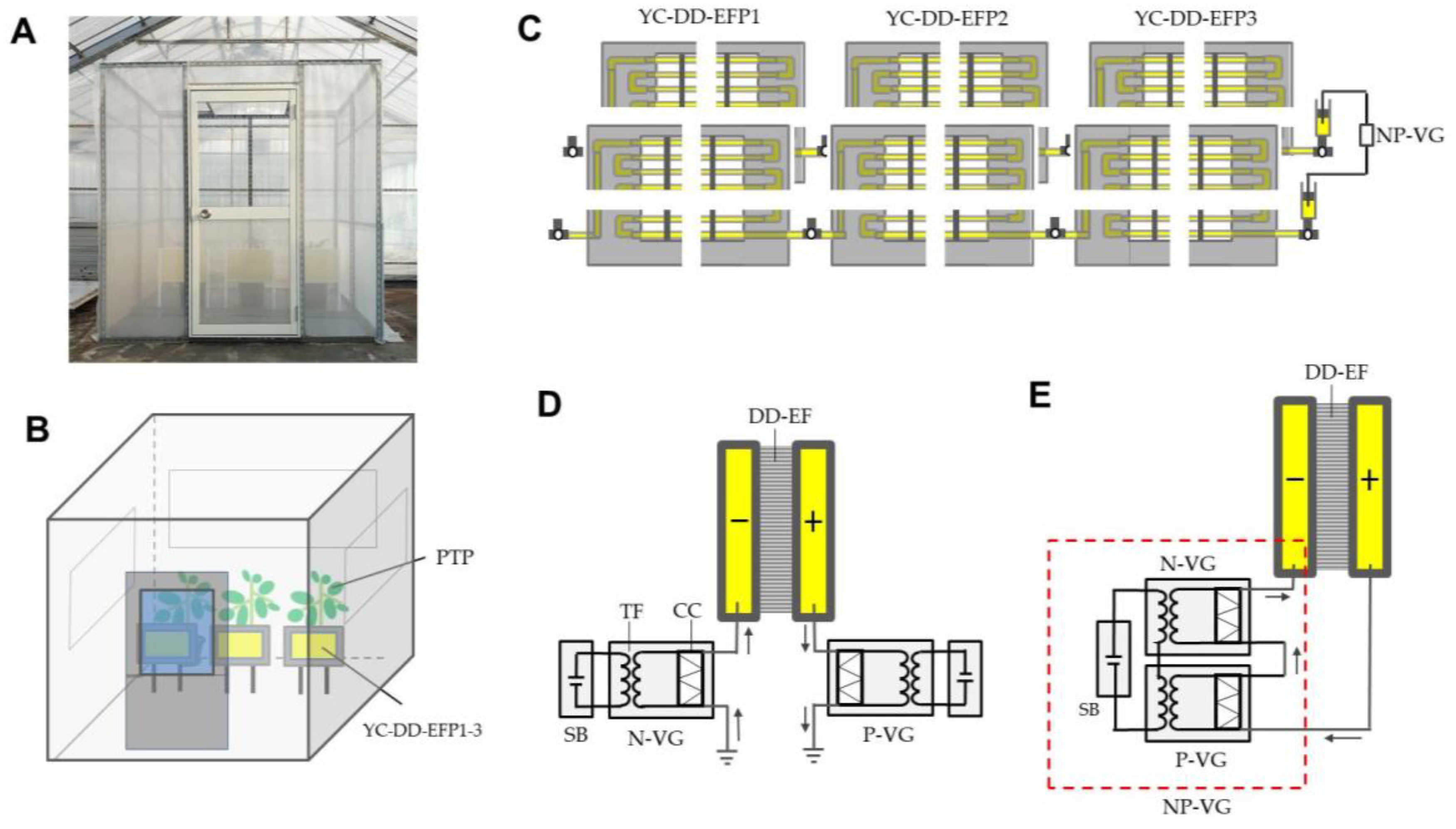 Insects 12 00960 g004