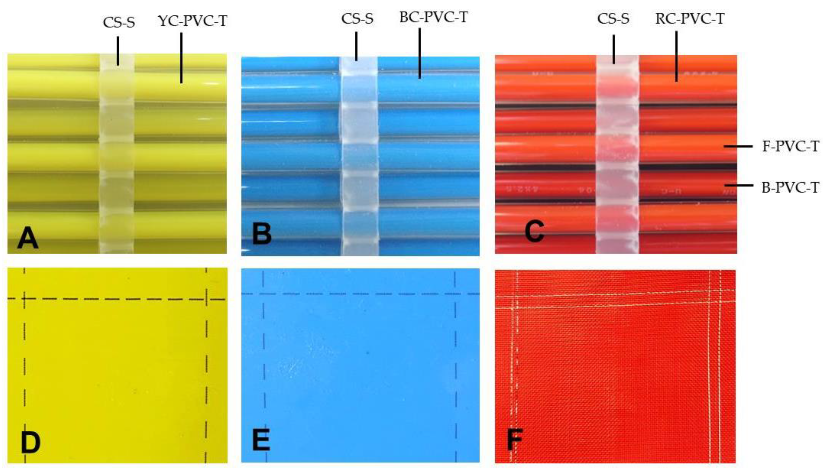 Insects 12 00960 g006
