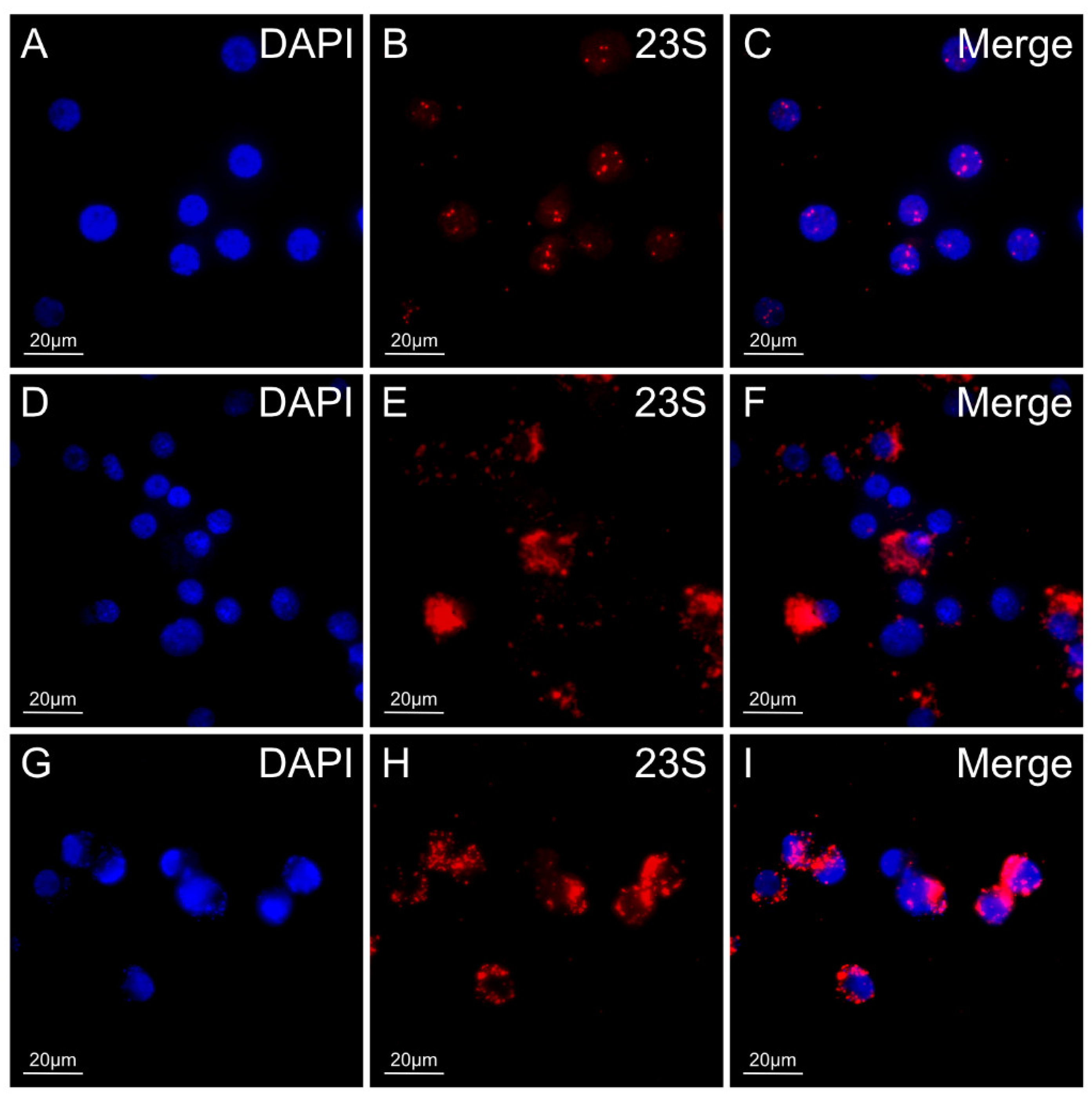 Insects 12 00968 g007