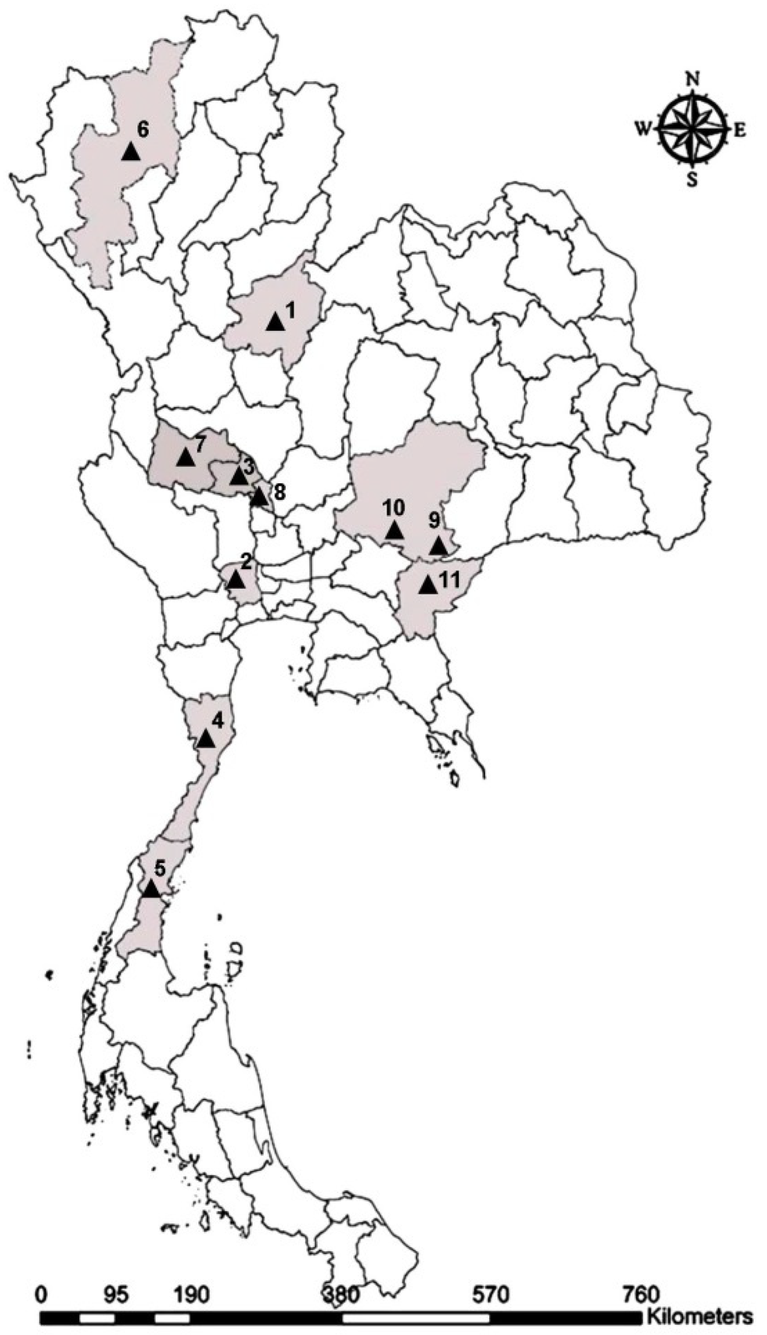 Tabanus Collection Landmark Data to Distinguish and Identify Morphologically Close Tabanus ...