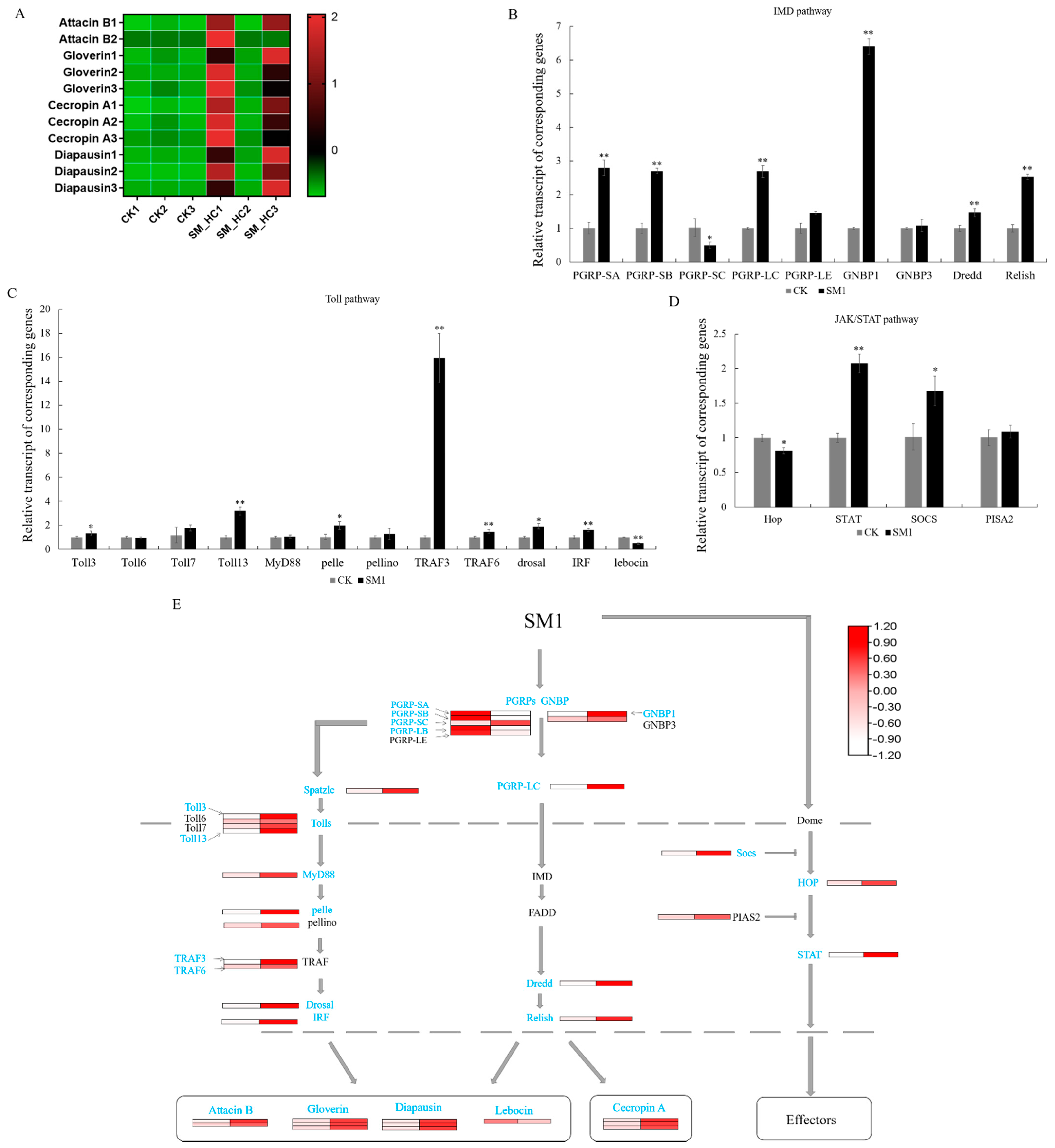 Insects 12 00983 g003 Insects 12 00983 g003