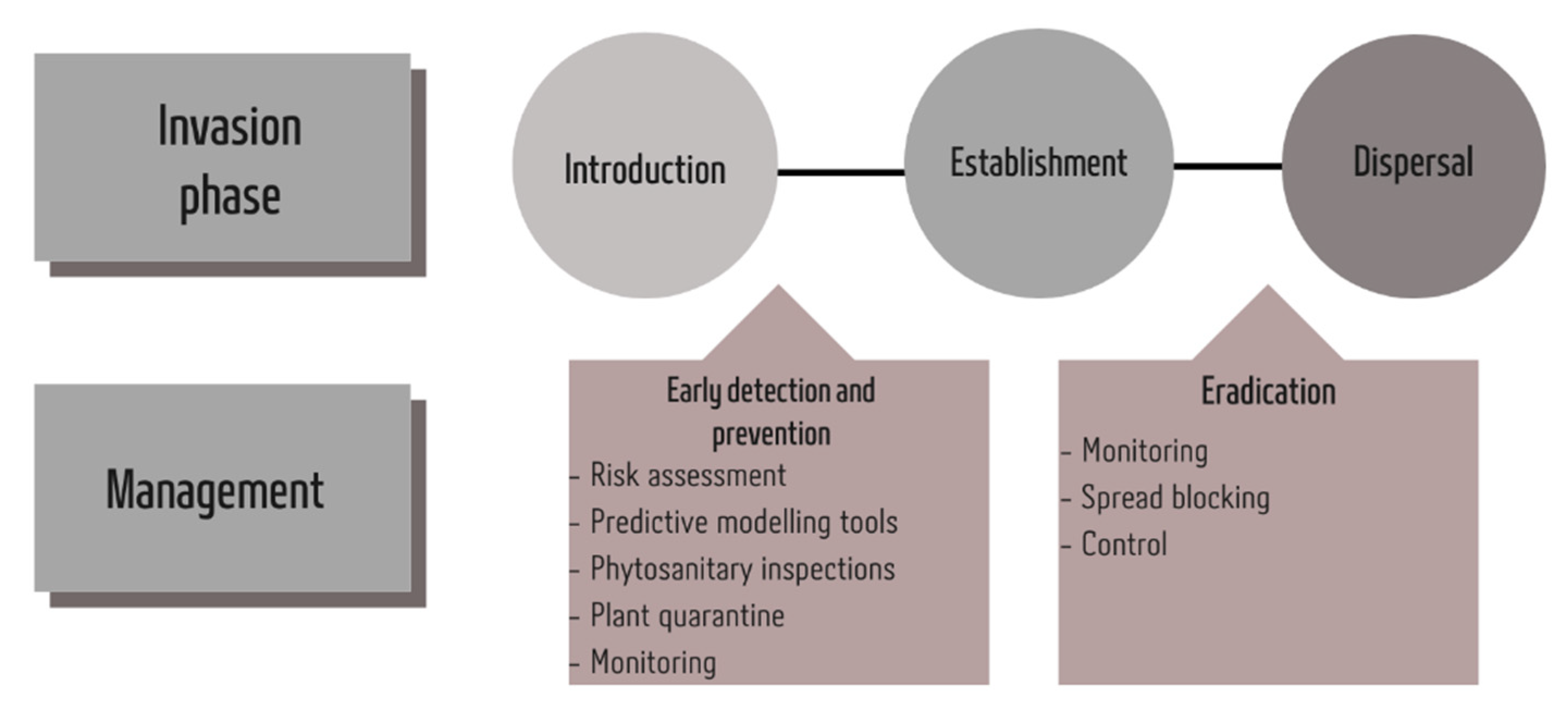 Insects 12 00985 g001