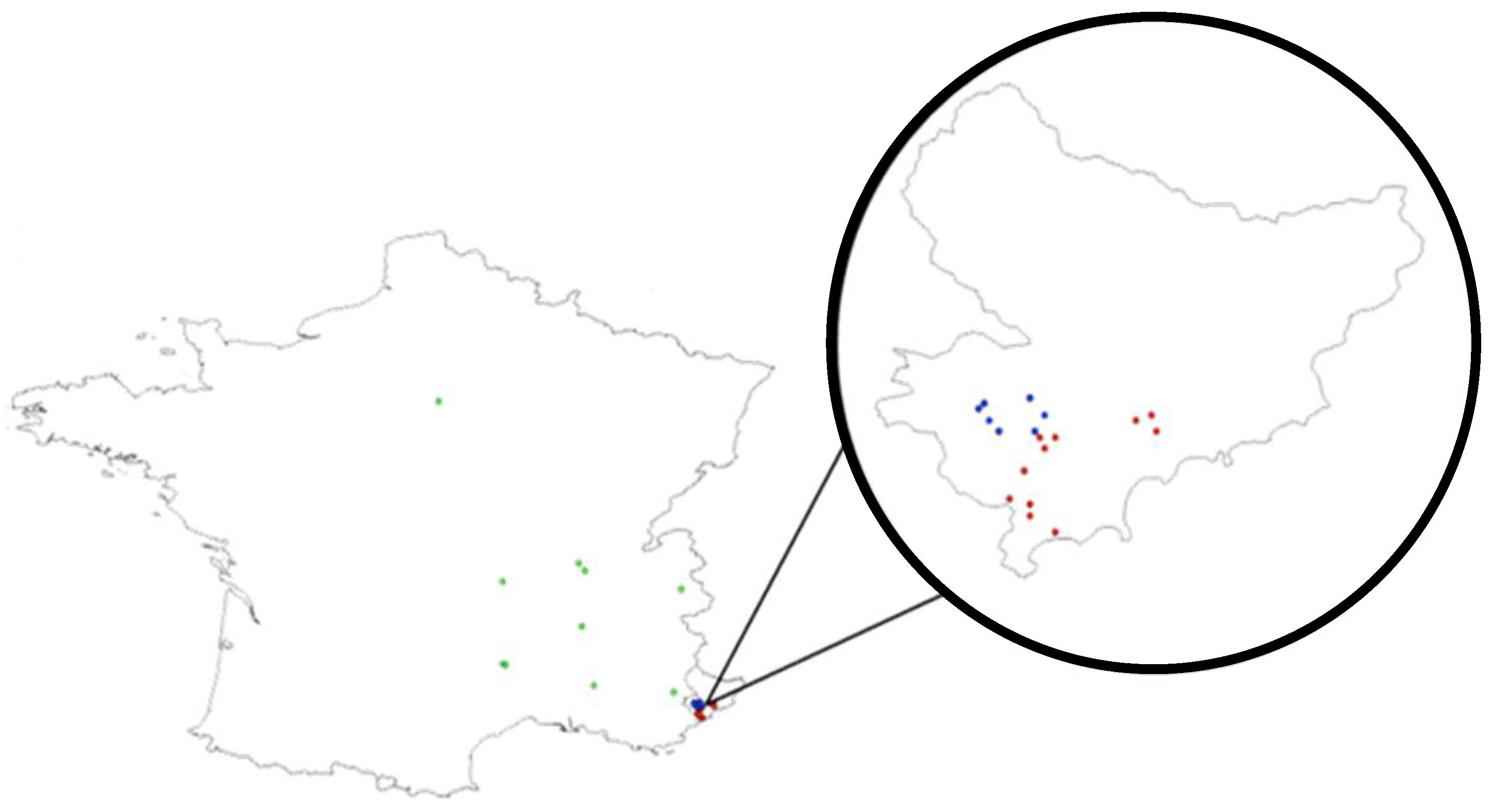 Insects 12 01013 g001