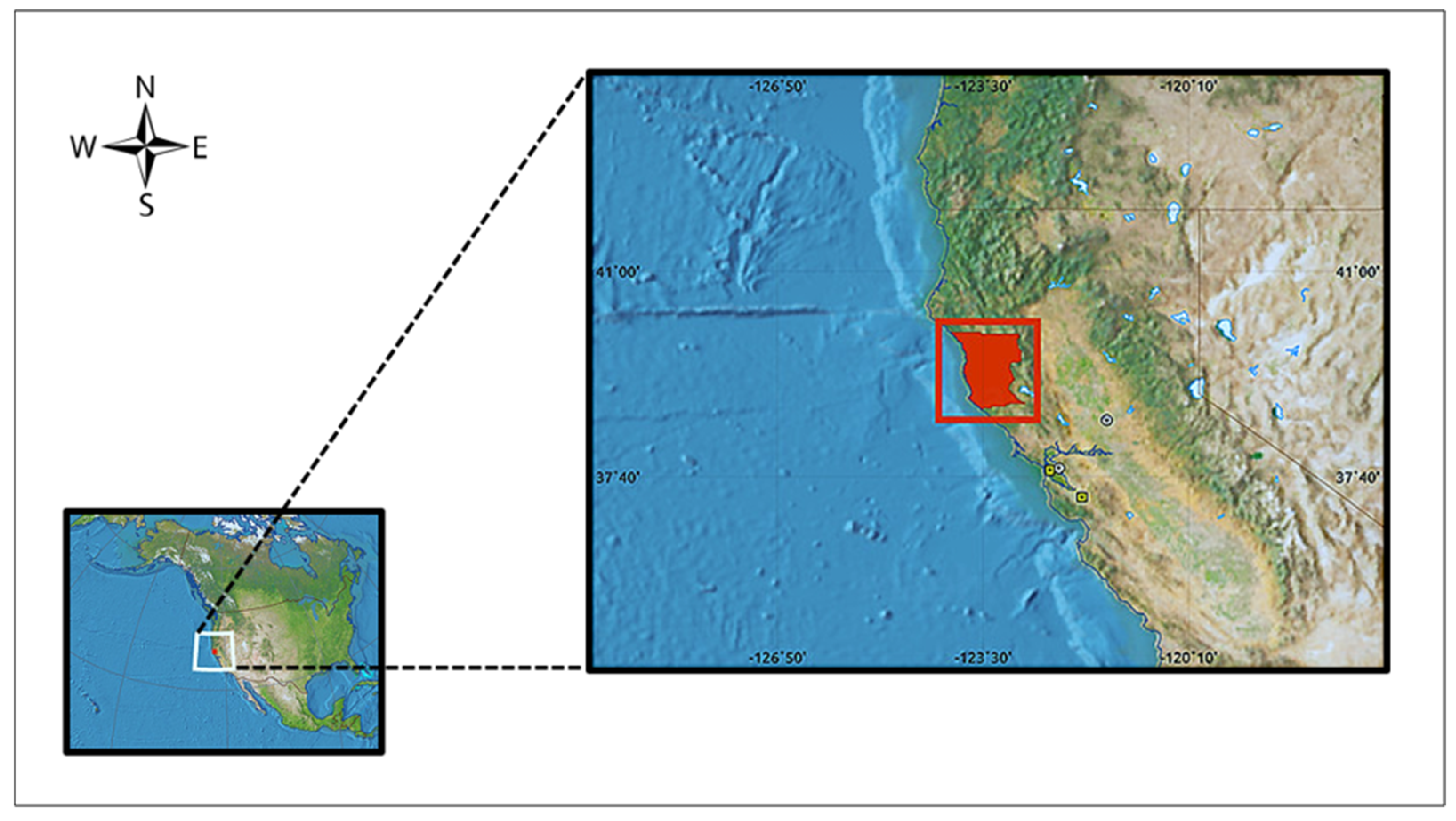 Insects 12 01018 g001