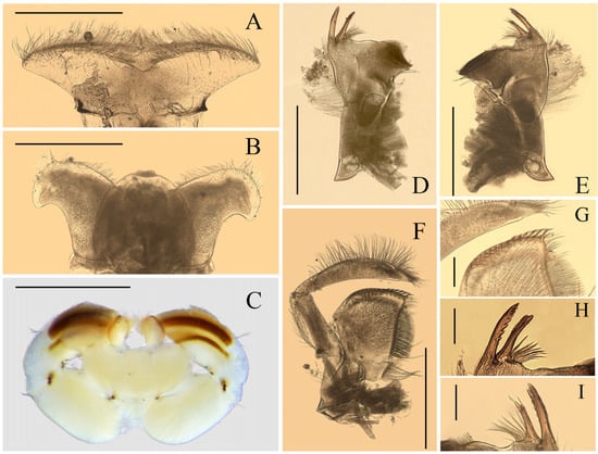 Insects 12 01020 g002