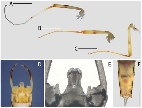 Insects 12 01020 g007