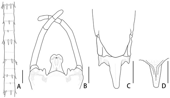 Insects 12 01020 g008