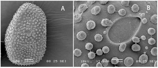 Insects 12 01020 g009