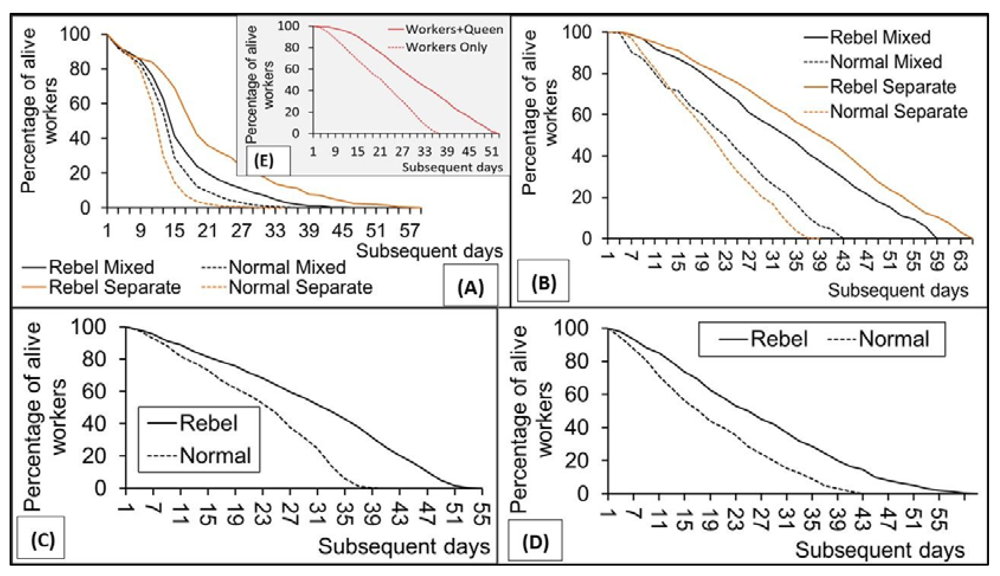 Insects 12 01021 g002