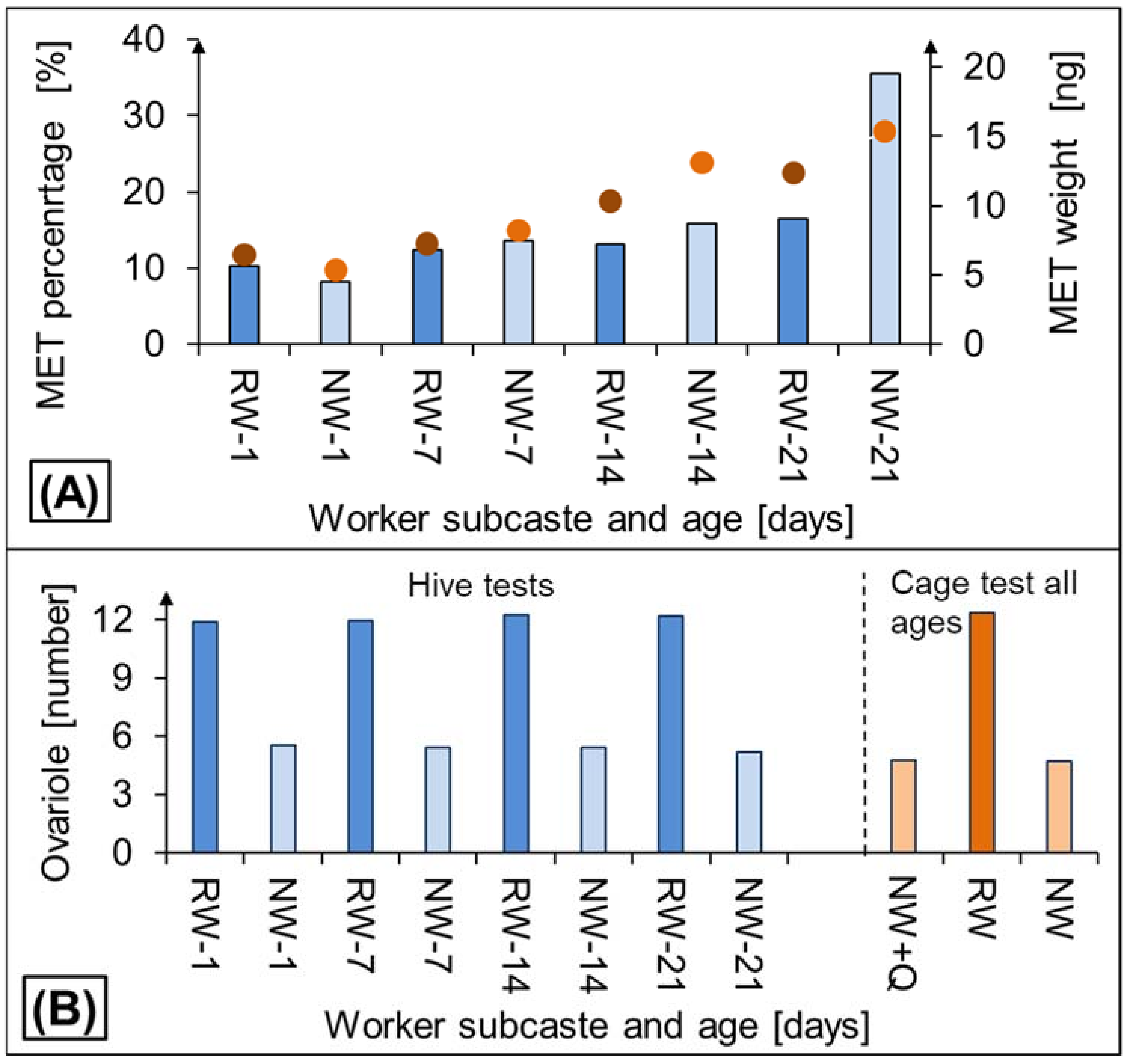 Insects 12 01021 g004
