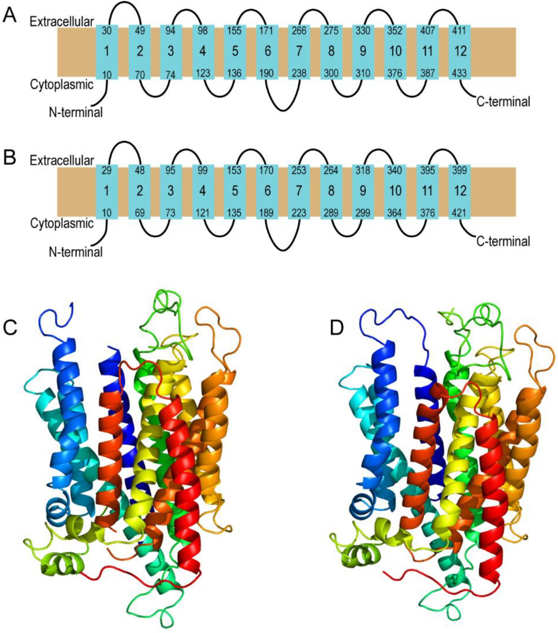 Insects 12 01024 g001