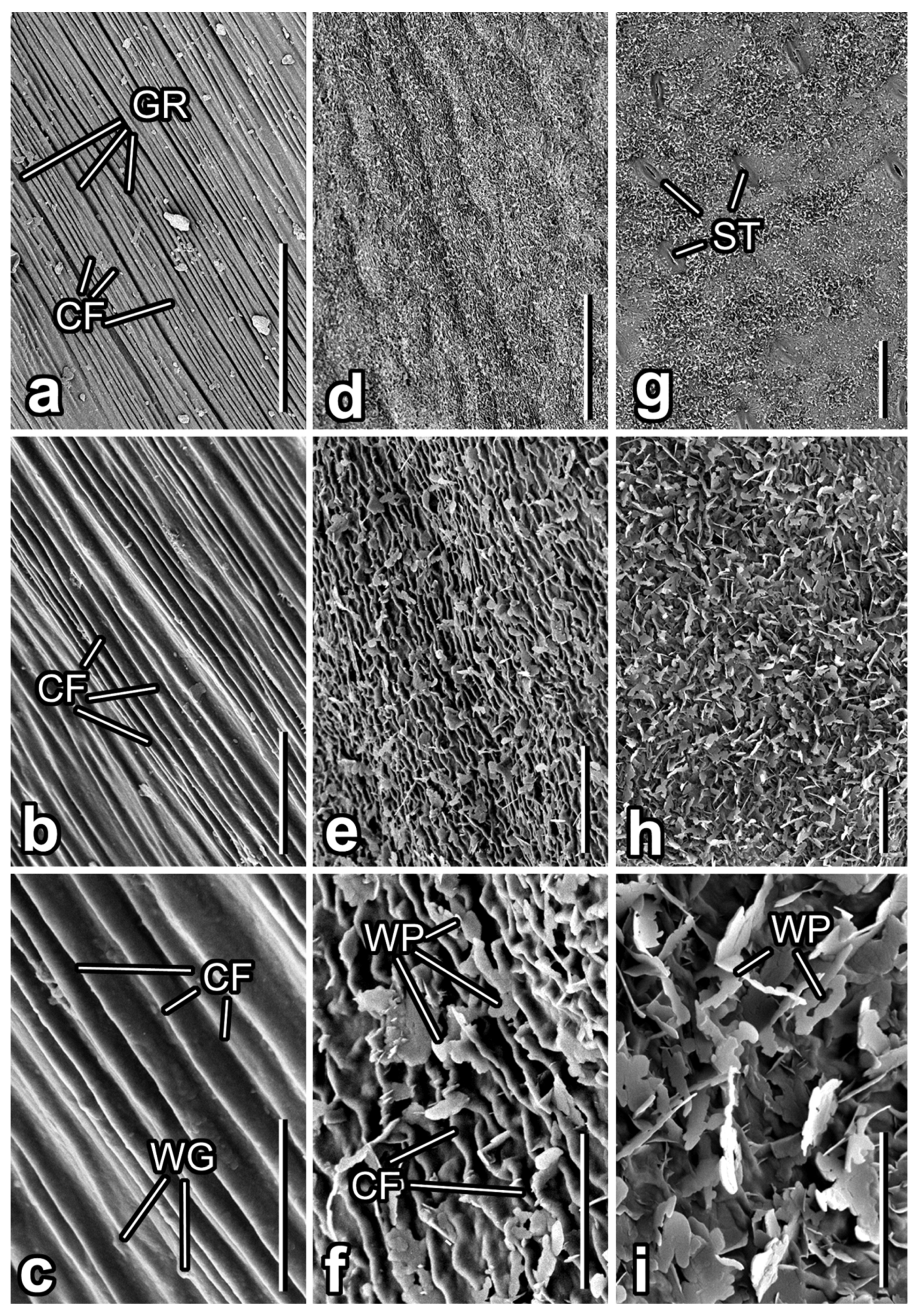 Insects 12 01026 g003