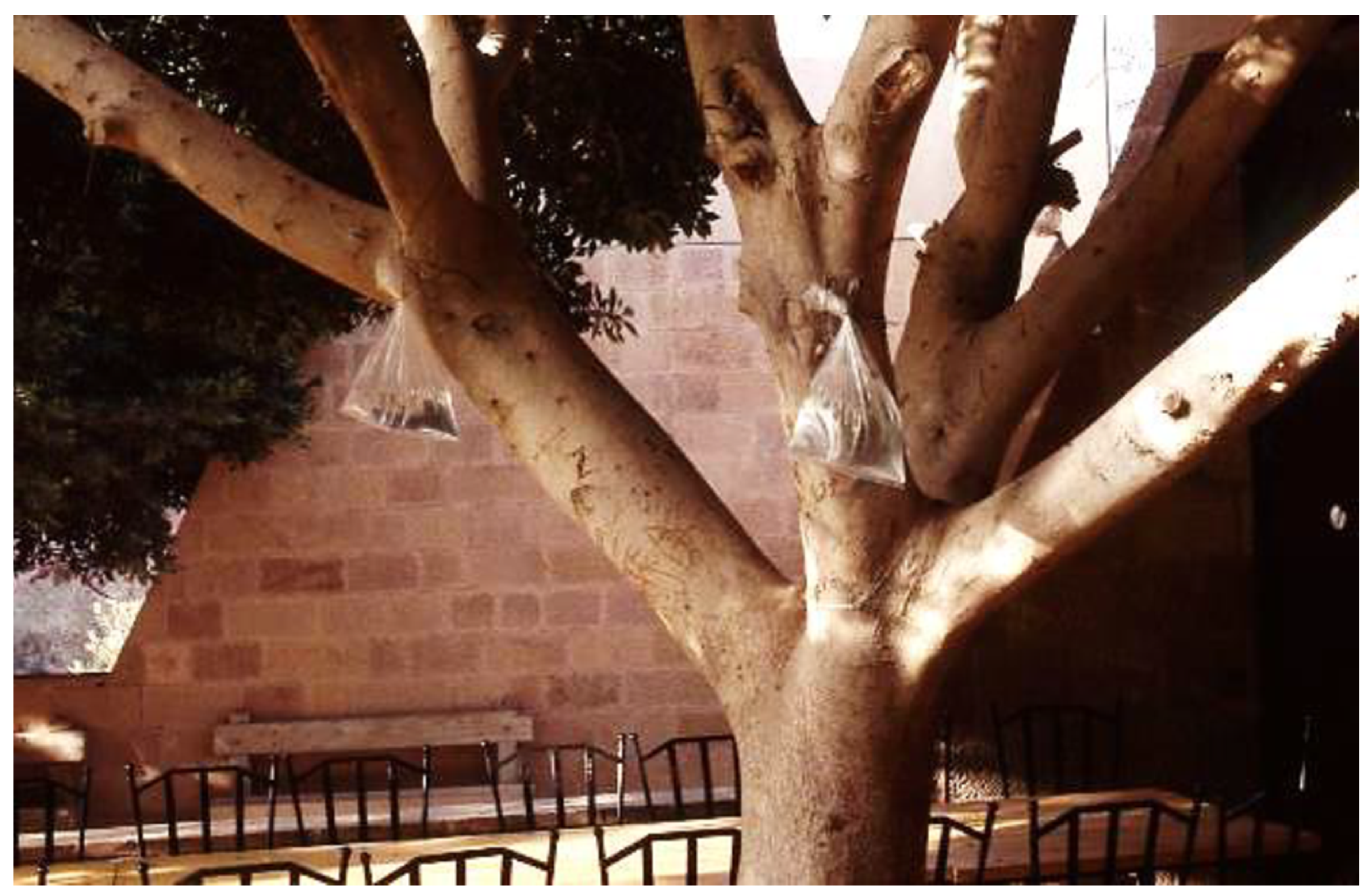 Insects 12 01042 g005 Insects 12 01042 g005