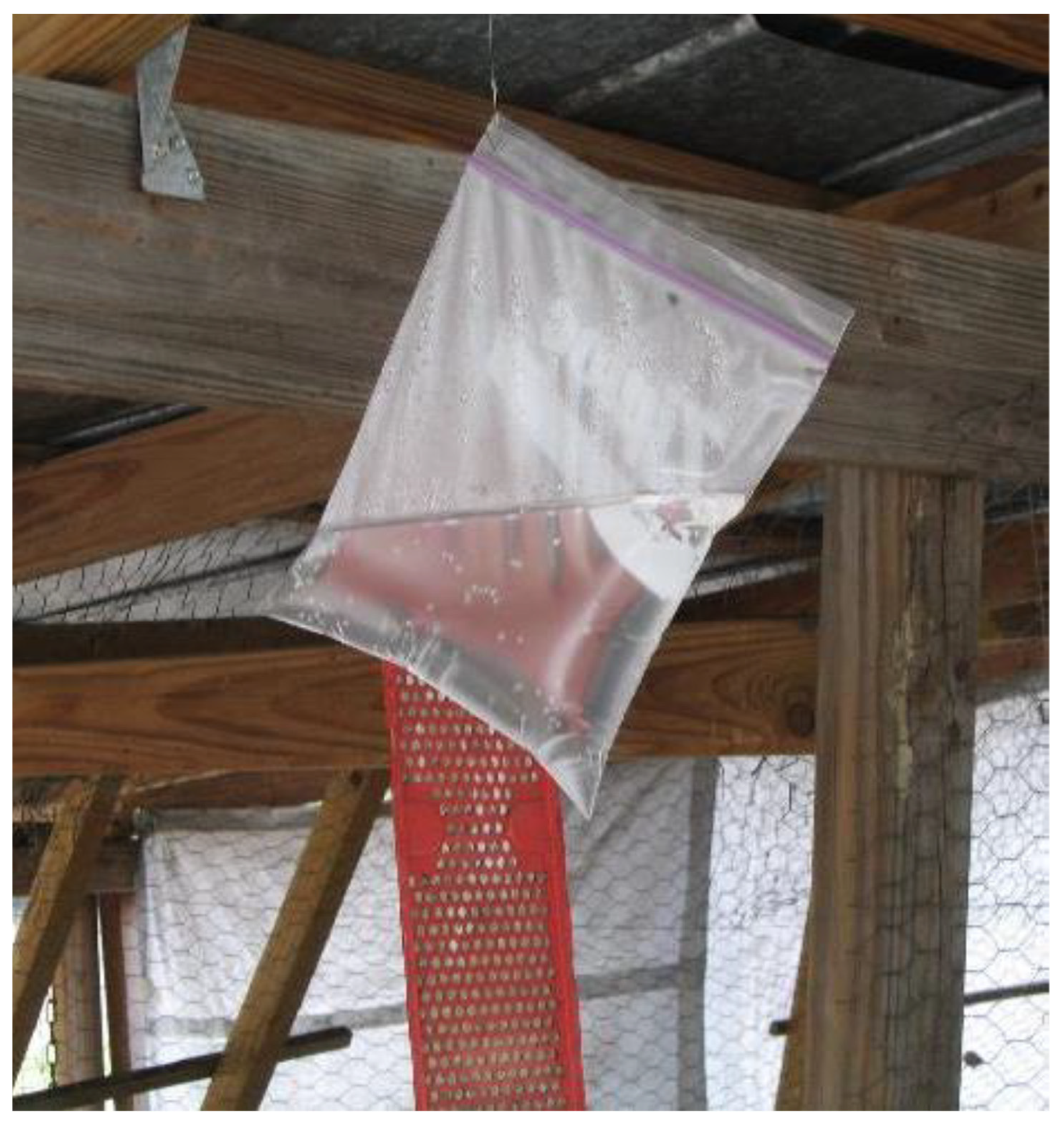 Insects 12 01042 g006 Insects 12 01042 g006