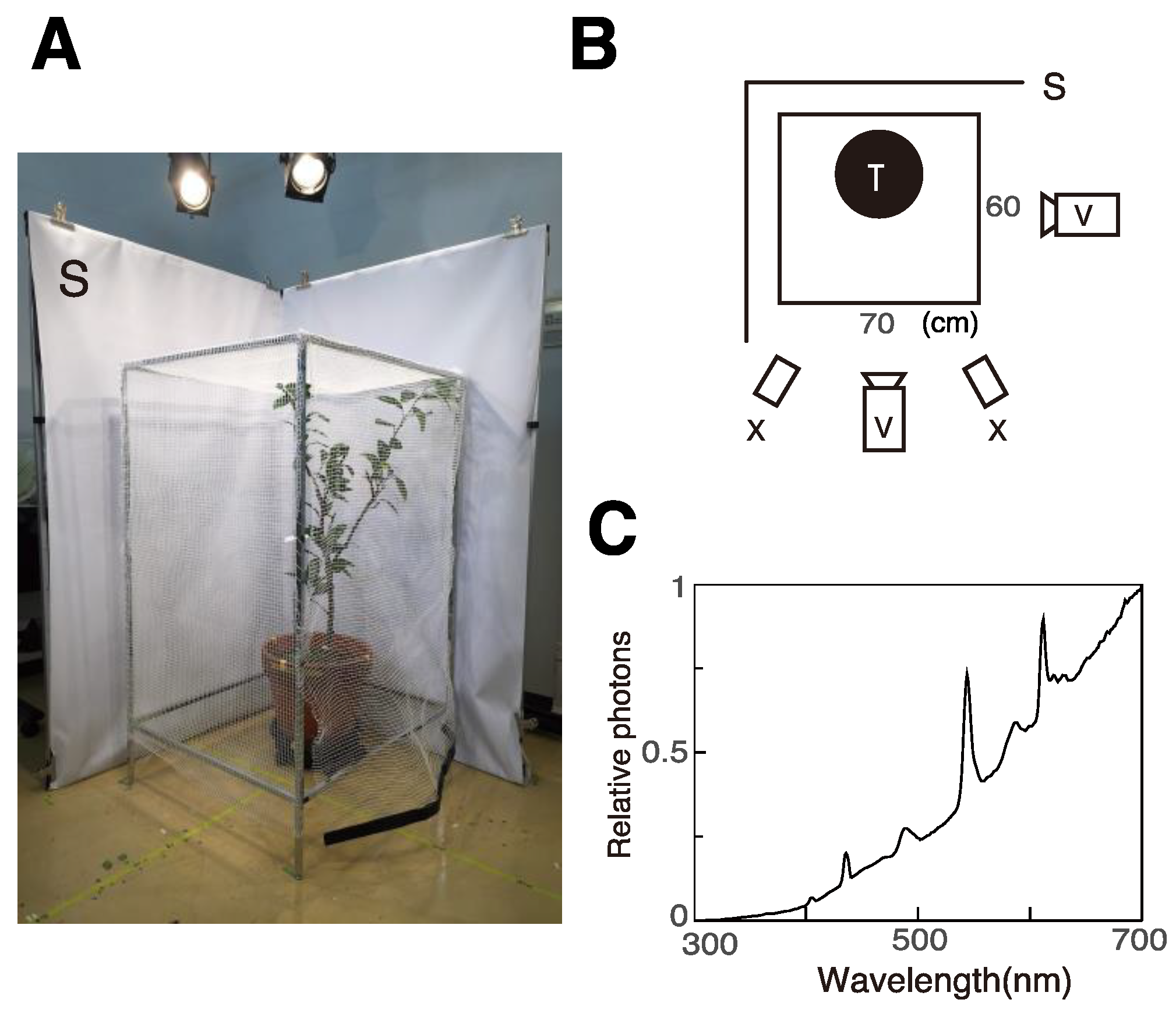 Insects 12 01047 g001 Insects 12 01047 g001