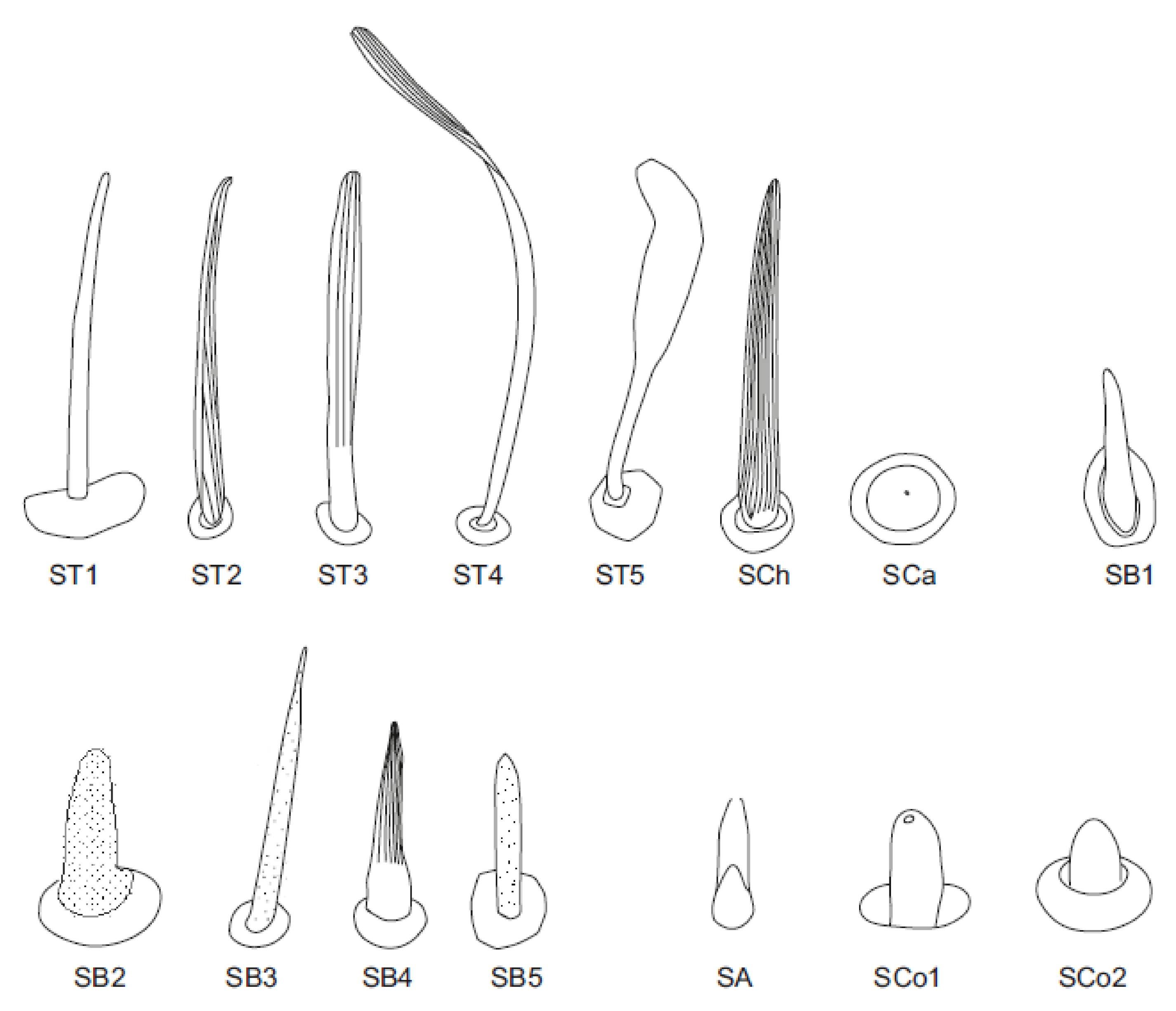Insects 12 01121 g003
