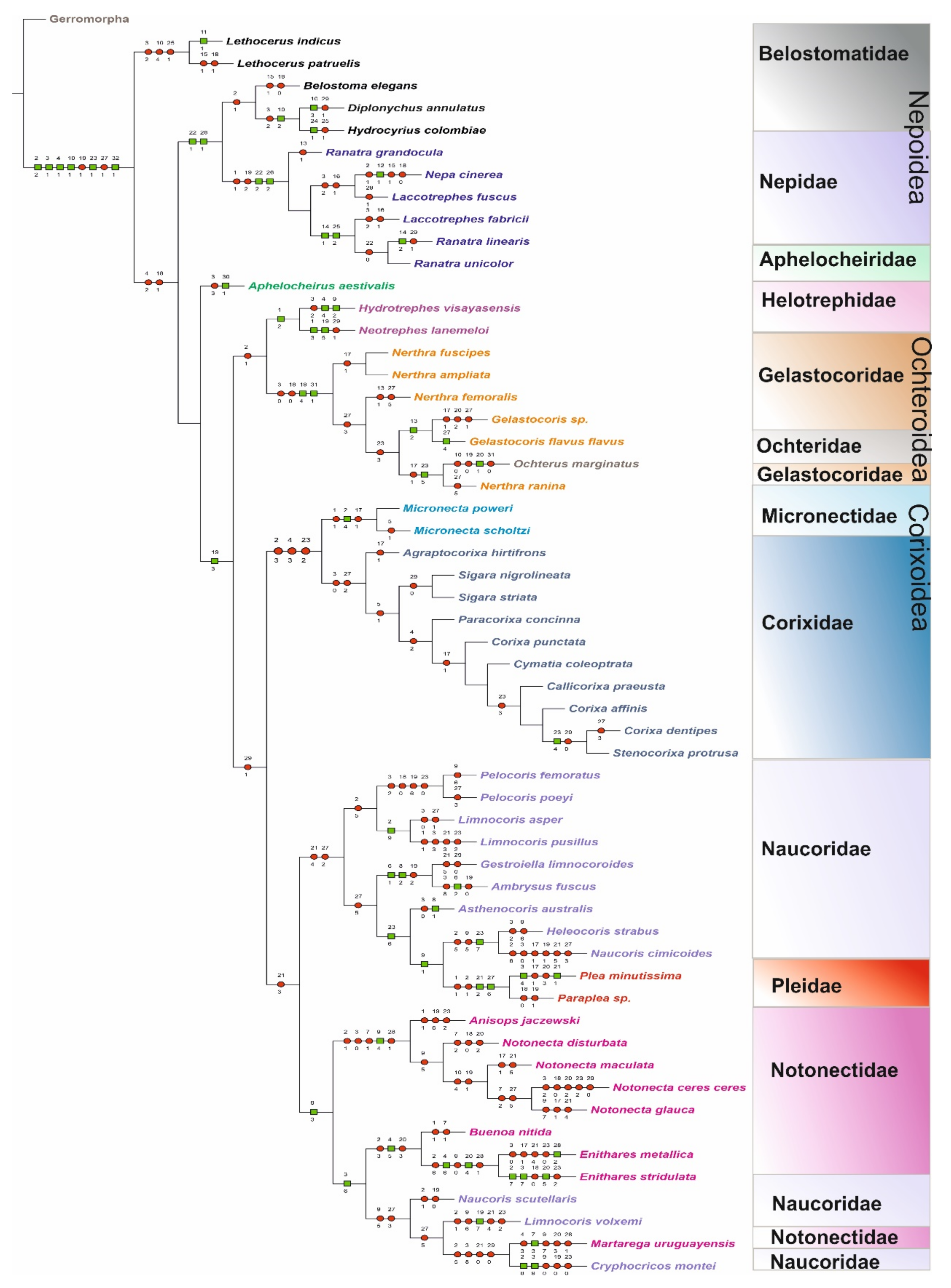 Insects 12 01121 g007
