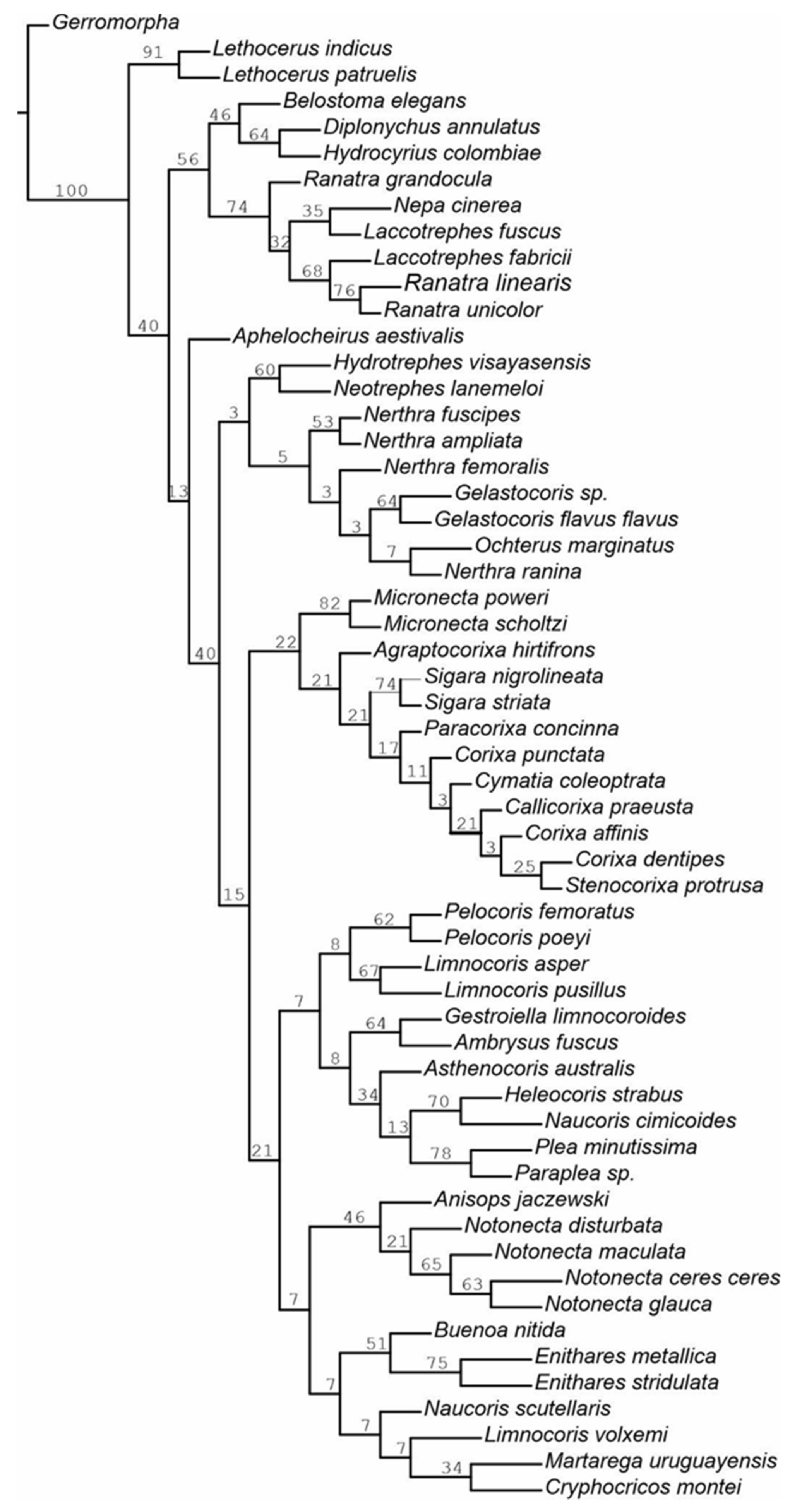 Insects 12 01121 g008