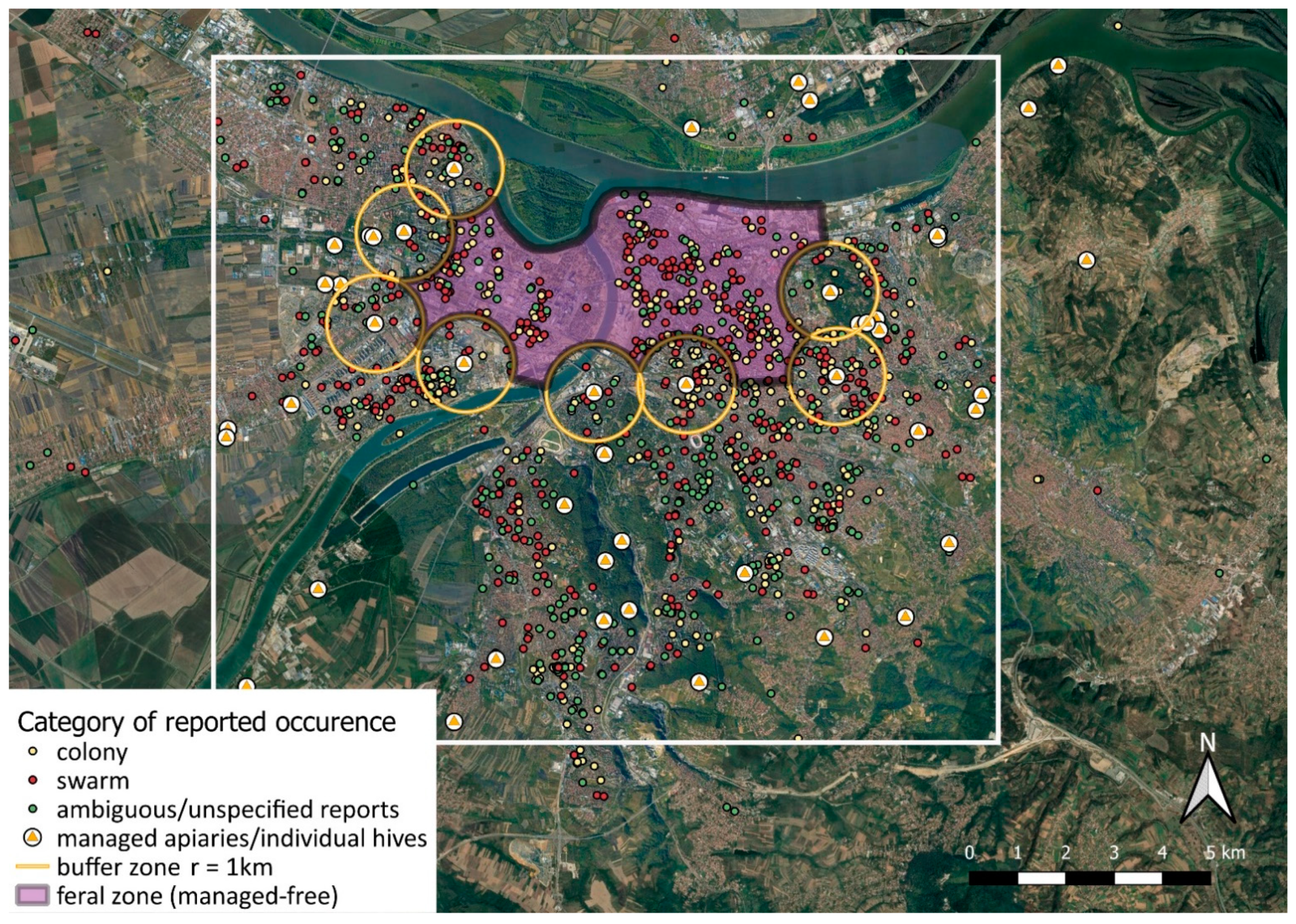 Insects 12 01127 g002