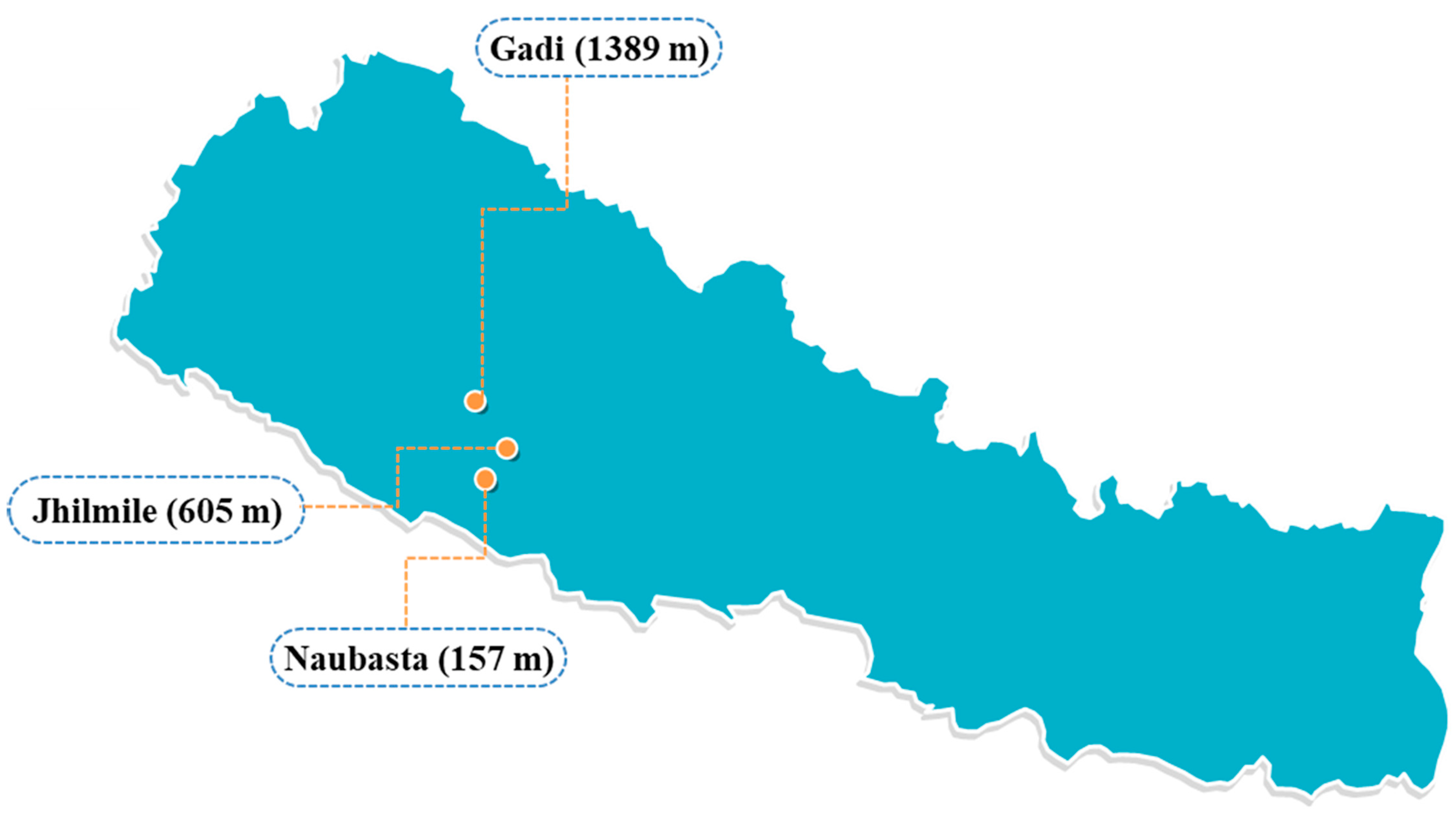 Insects 12 01129 g001