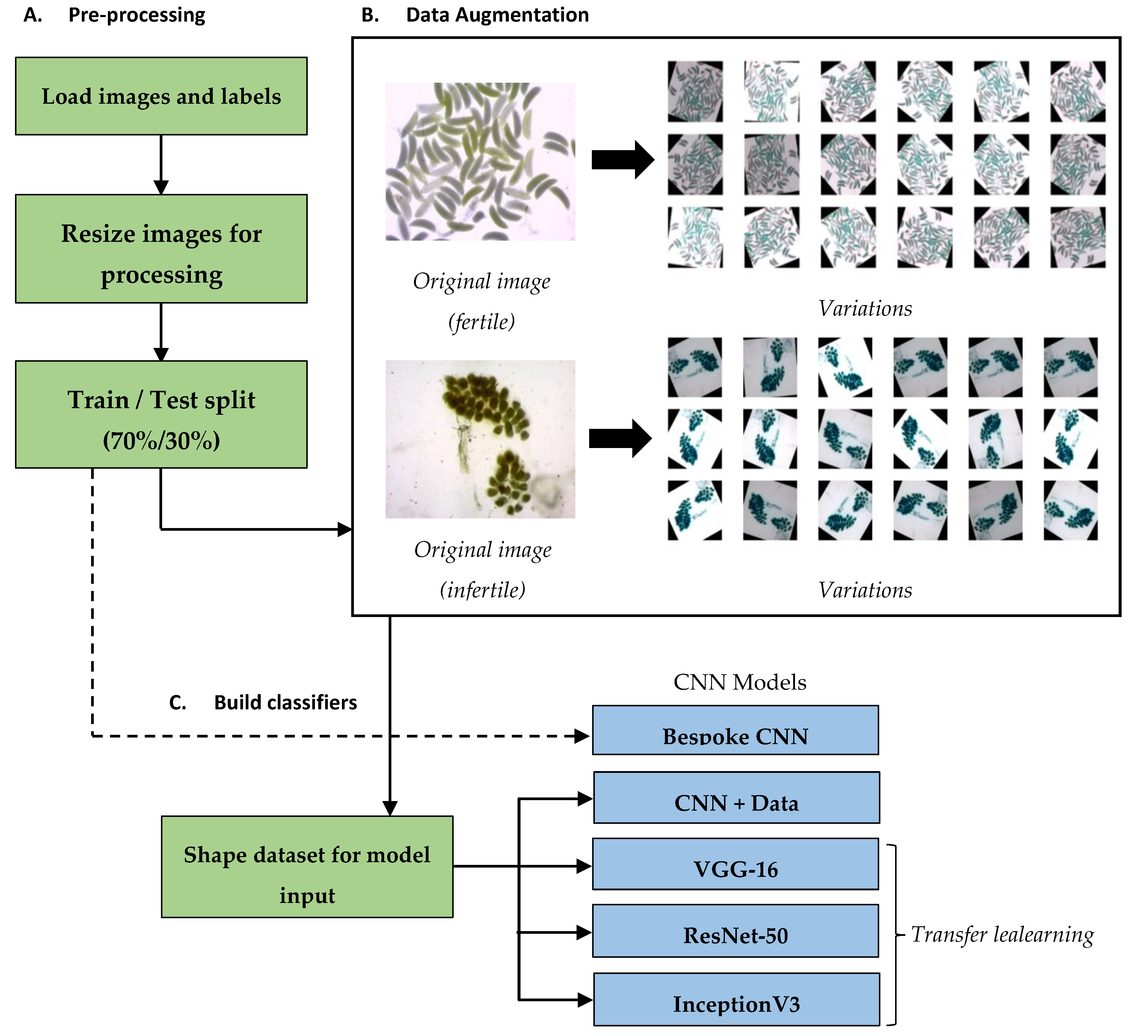 Insects 12 01134 g002