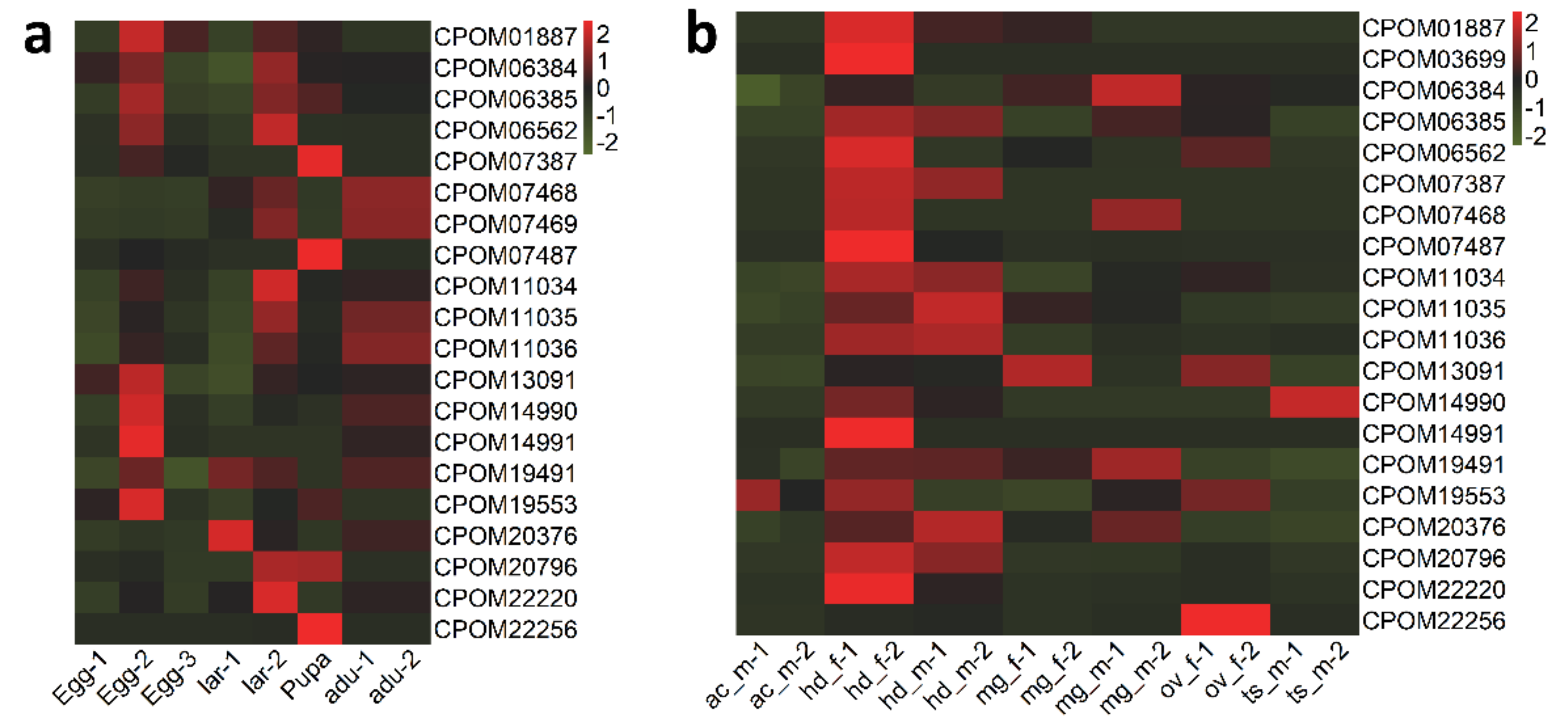 Insects 13 00002 g003