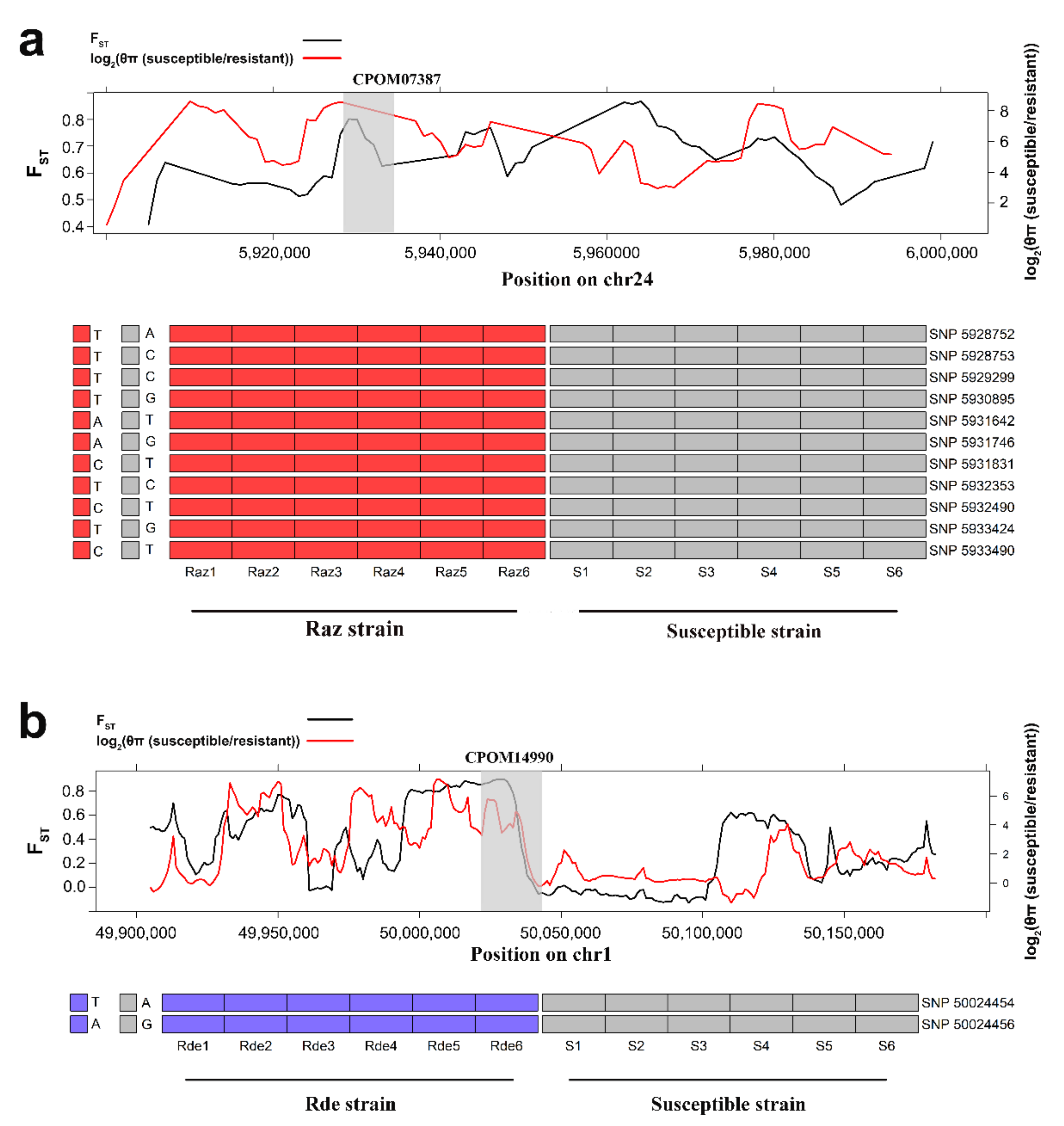 Insects 13 00002 g004