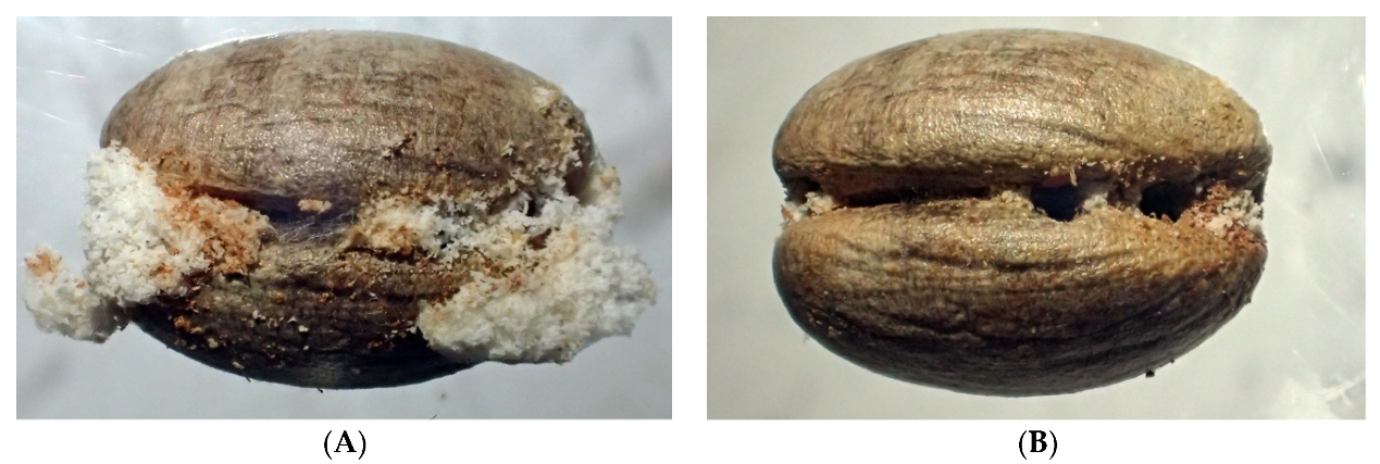 Insects 13 00010 g003