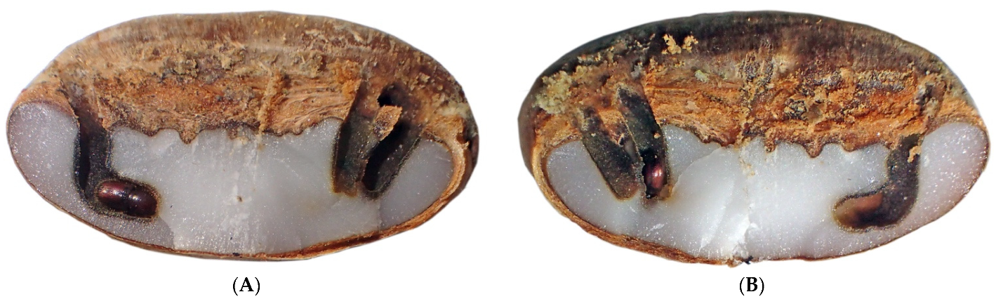 Insects 13 00010 g005