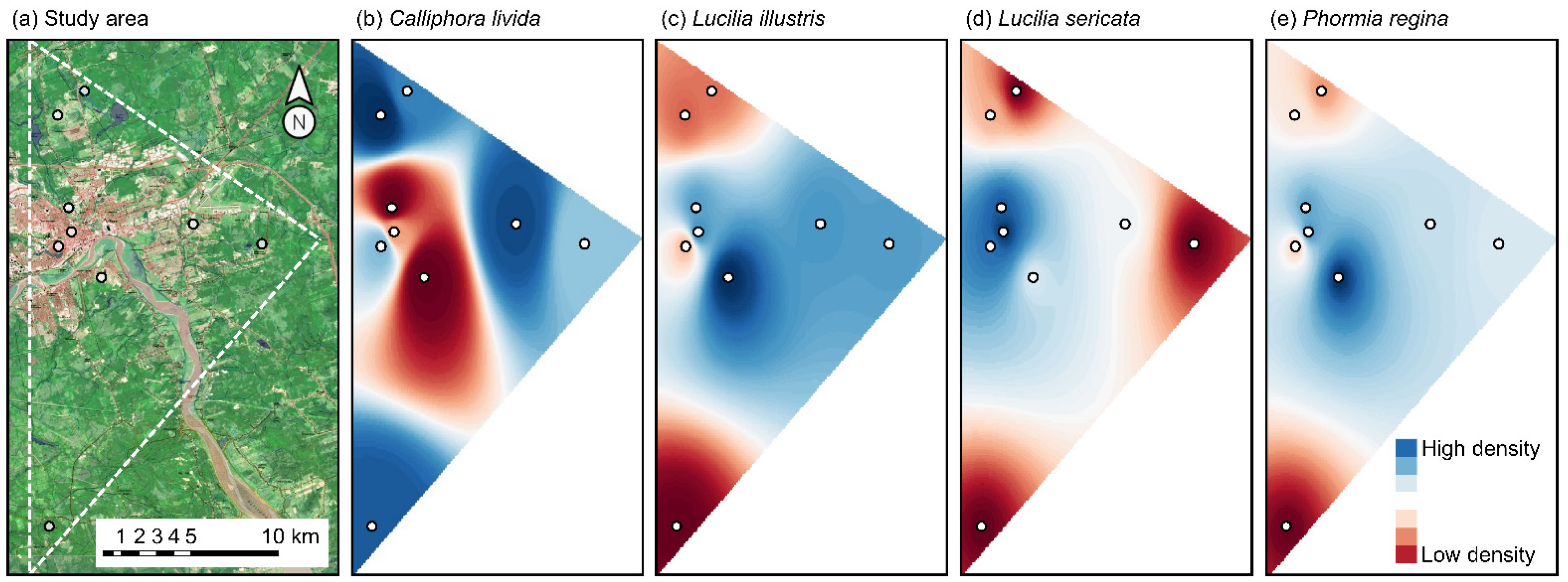 Insects 13 00011 g001