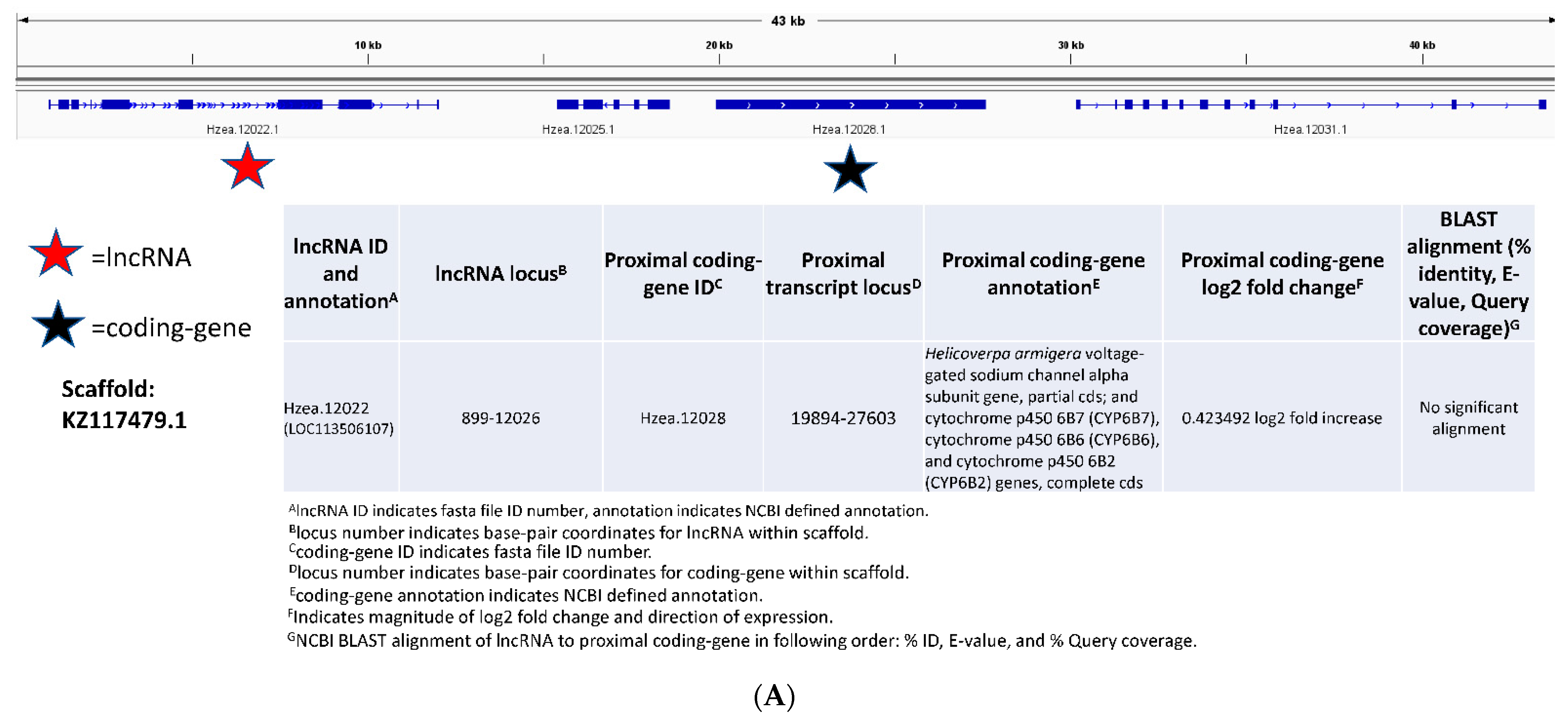 Insects 13 00012 g004a